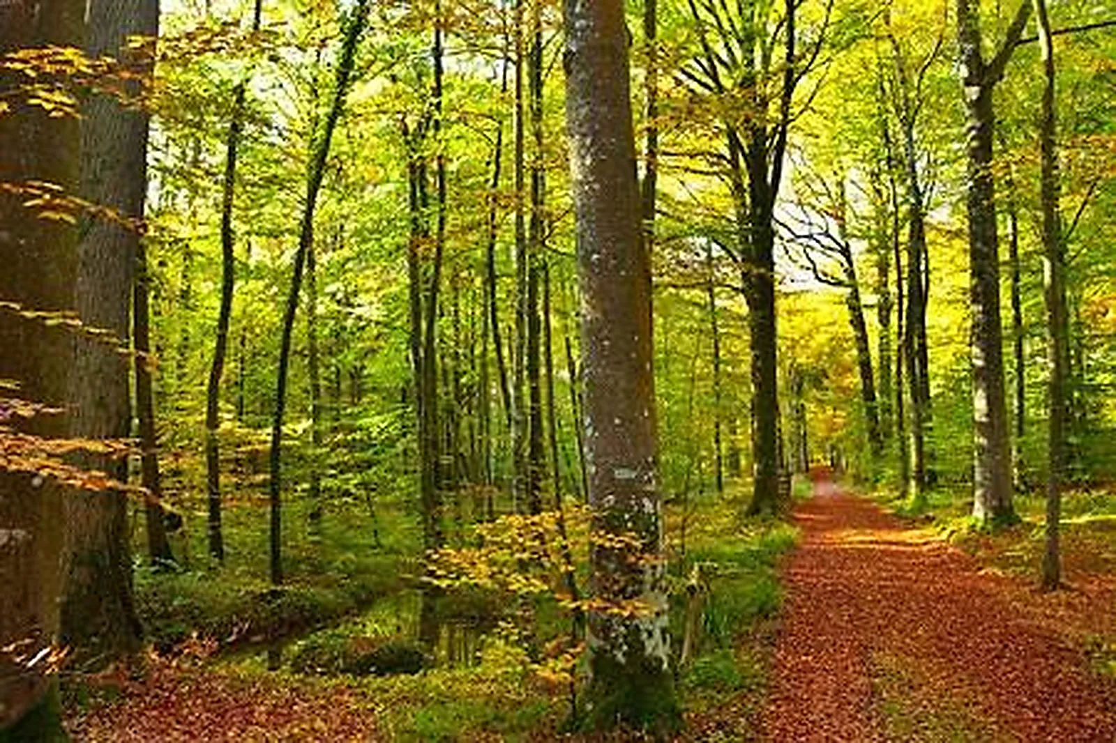 Lieux événementiels, PAVILLON DE GOUFFERN