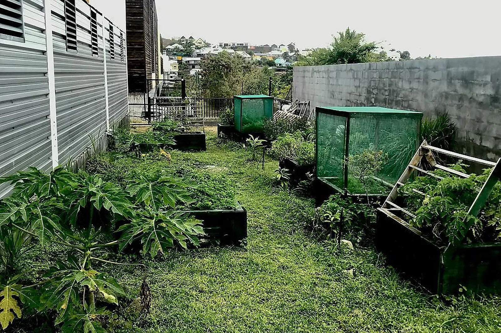 Lieux événementiels, PÉPÉ JOSÉ