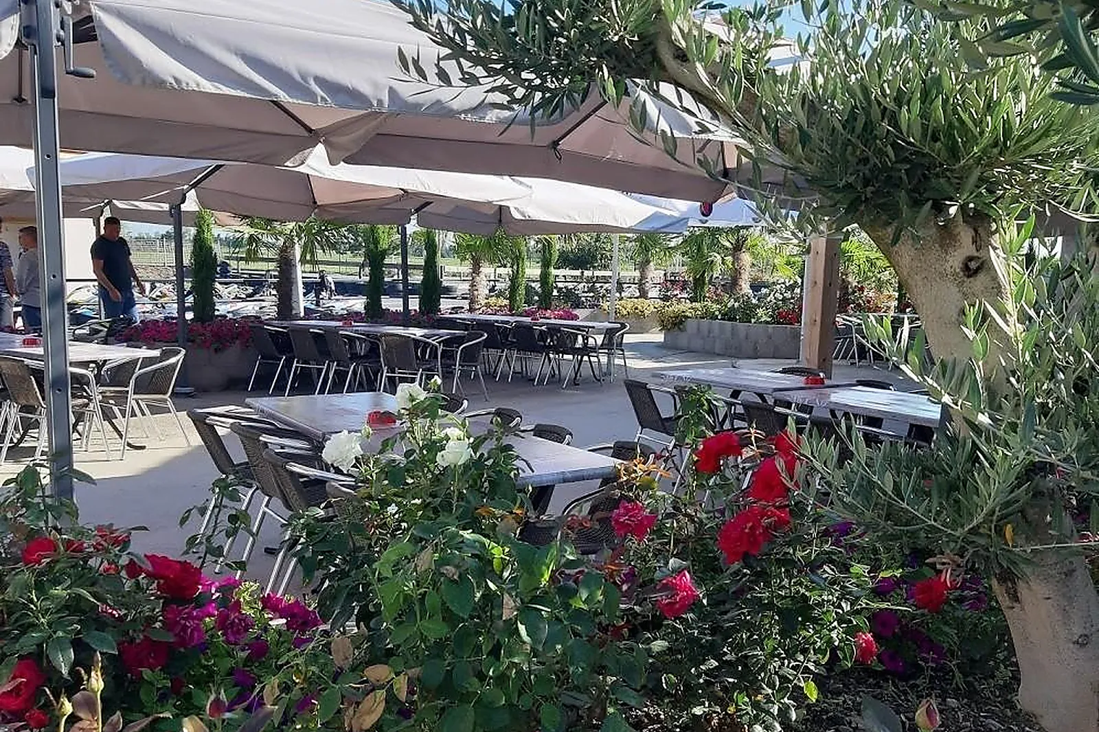 Lieux événementiels, PERFORMANCES DRIVE