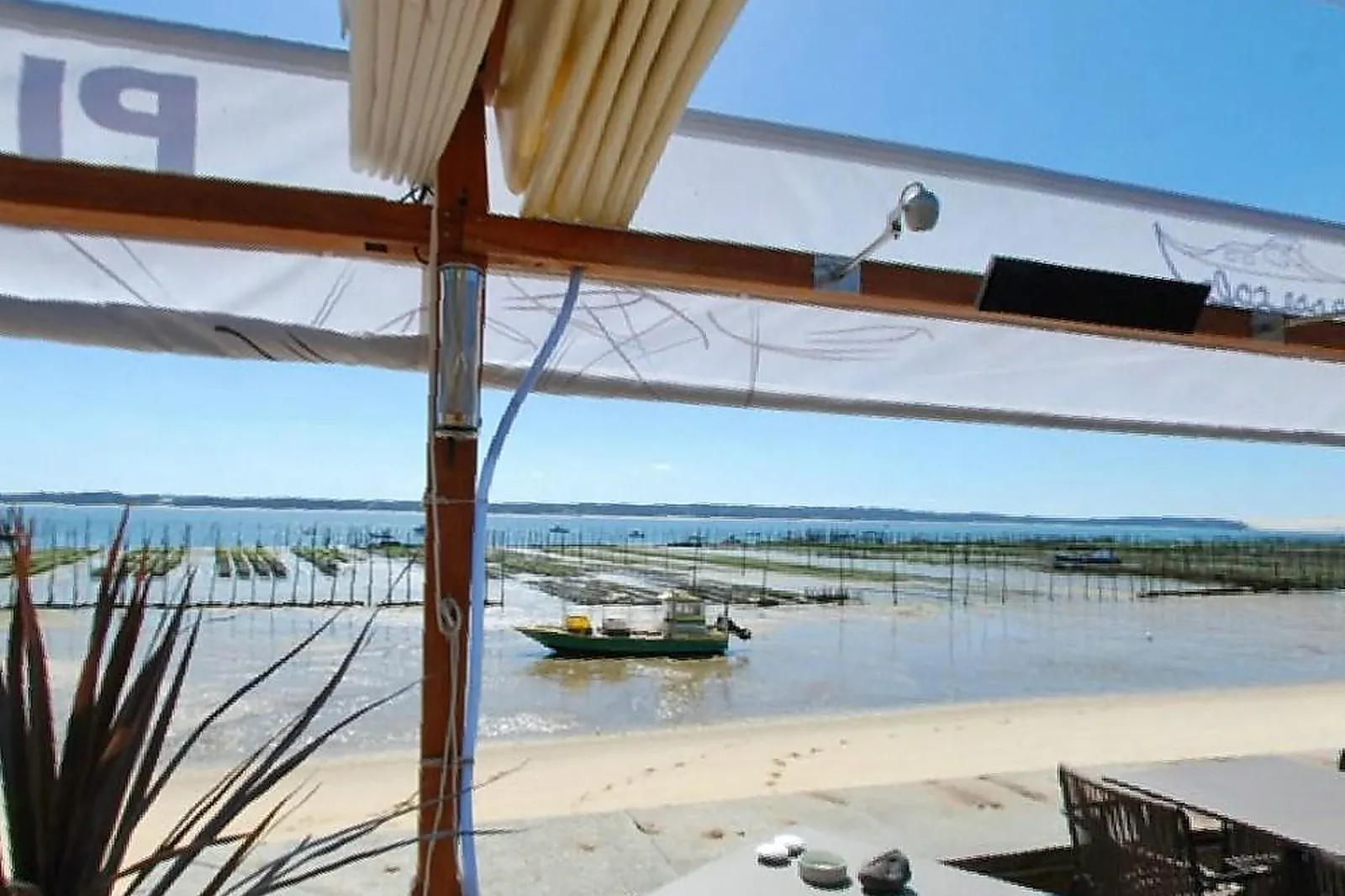 Lieux événementiels, PINASSE CAFÉ