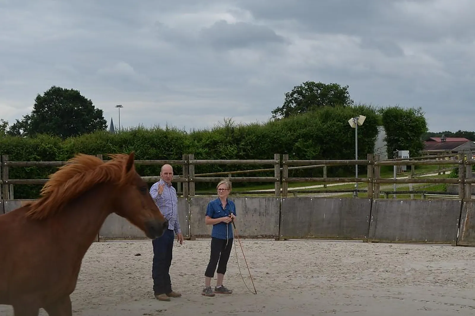 Lieux événementiels, POLE DU CHEVAL ET DE L'ÂNE