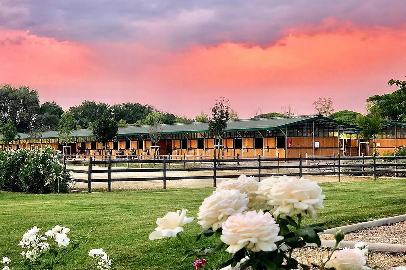 Lieux événementiels, POLO CLUB SAINT TROPEZ HARAS DE GASSIN