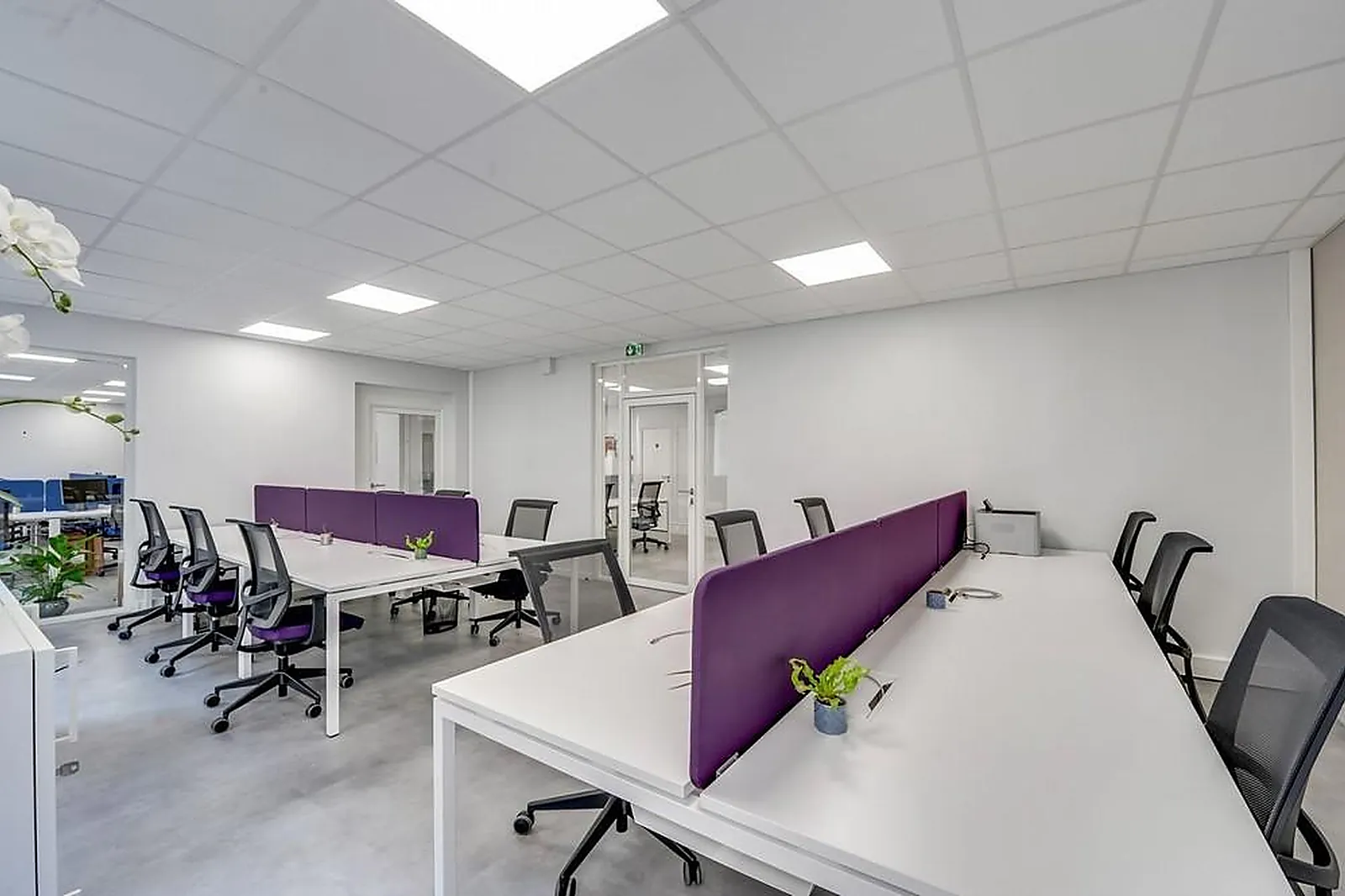 Lieux événementiels, PRIMM OFFICE