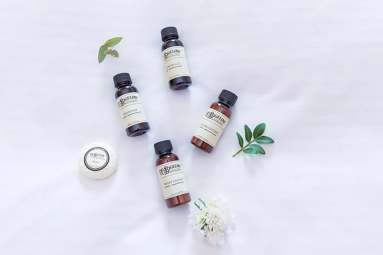 Lieux événementiels, PULLMAN TOULOUSE AIRPORT