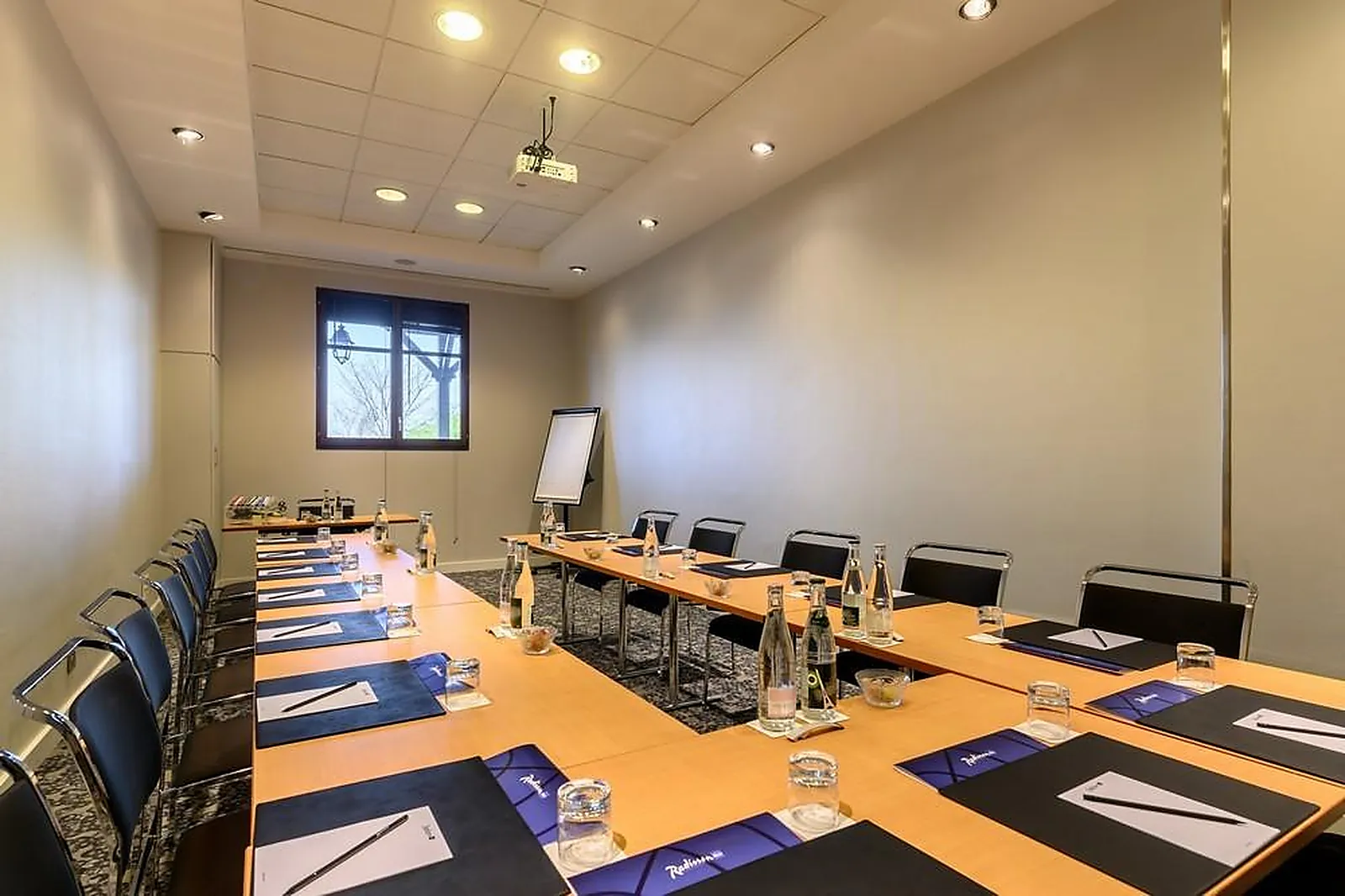 Lieux événementiels, RADISSON BLU HOTEL, PARIS, MARNE-LA-VALLÉE