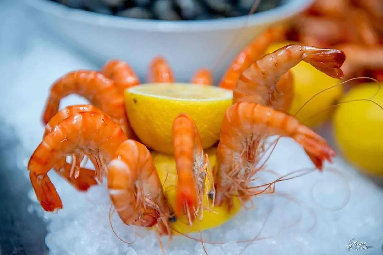 Lieux événementiels, RESTAURANT CAFÉ DE LA PAIX