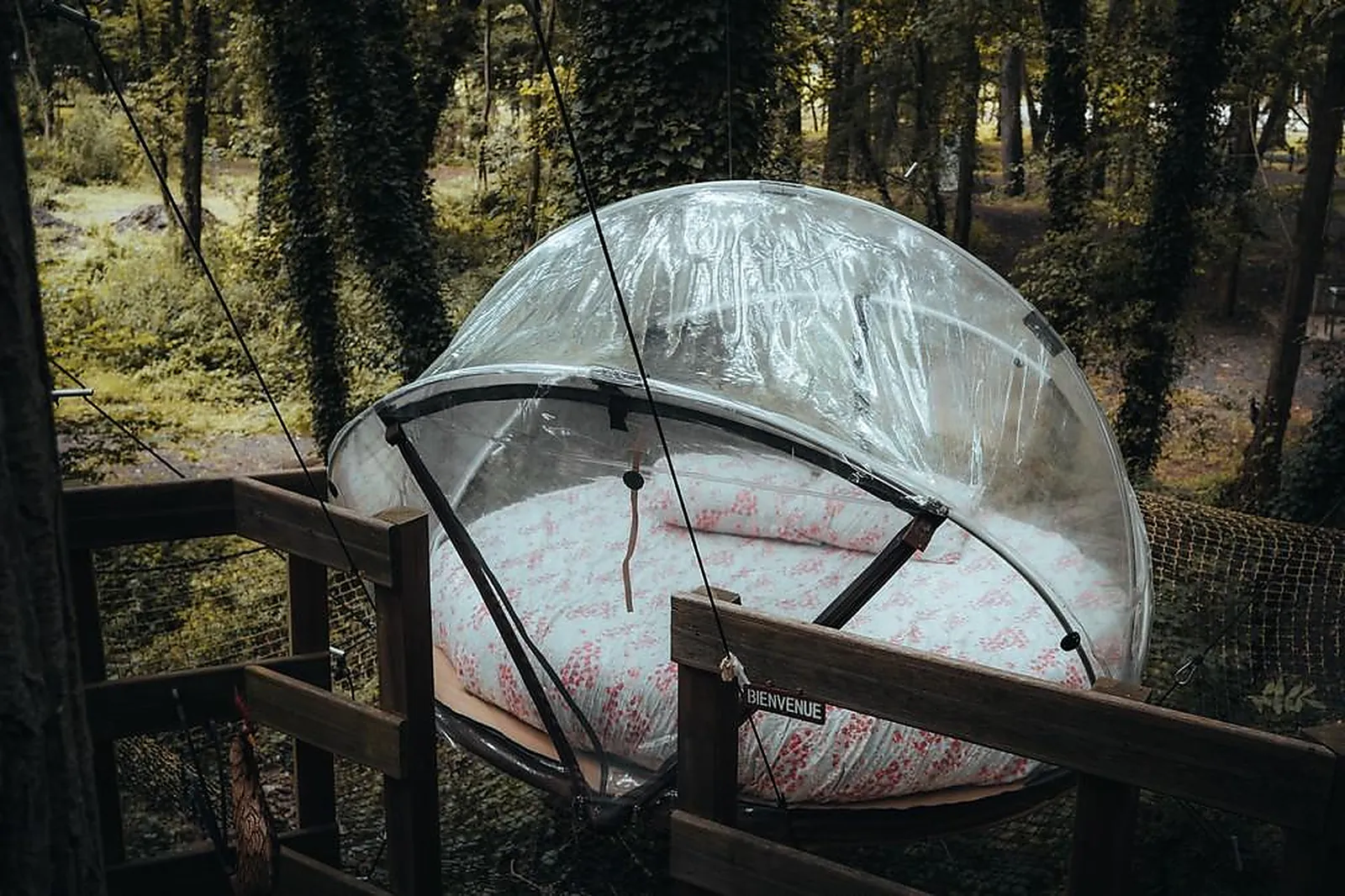 Lieux événementiels, ROCK ET BLEAU