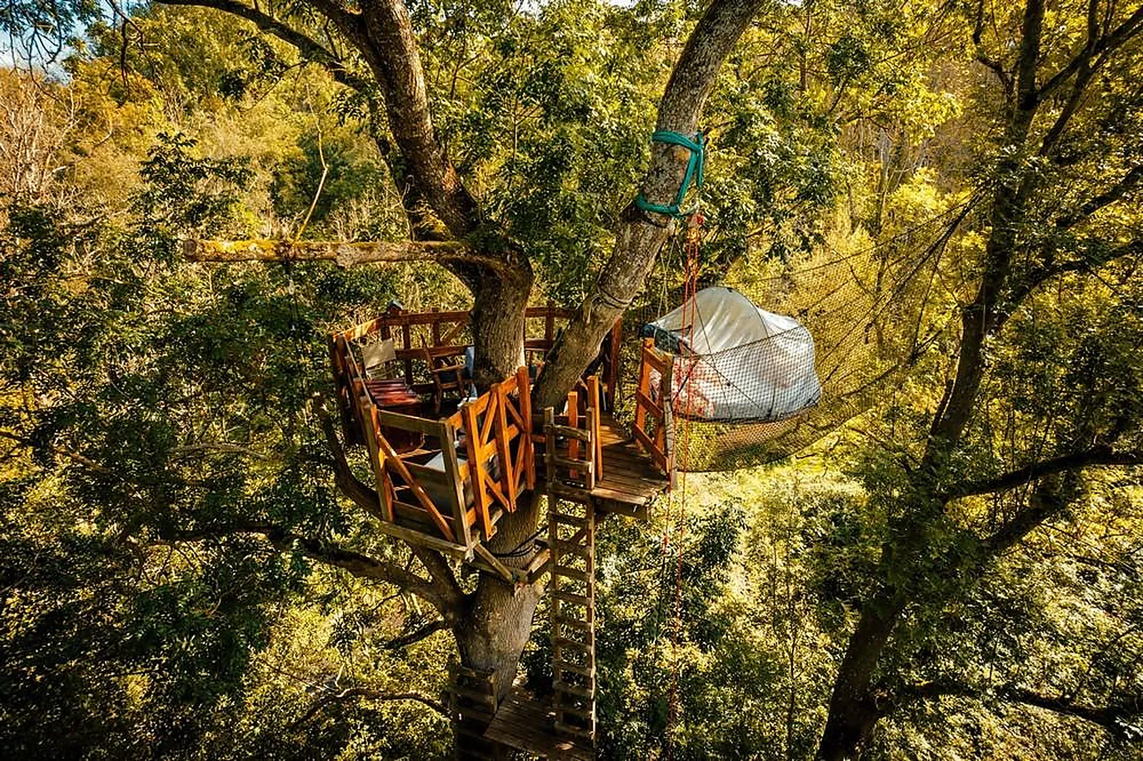 Lieux événementiels, ROCK ET BLEAU