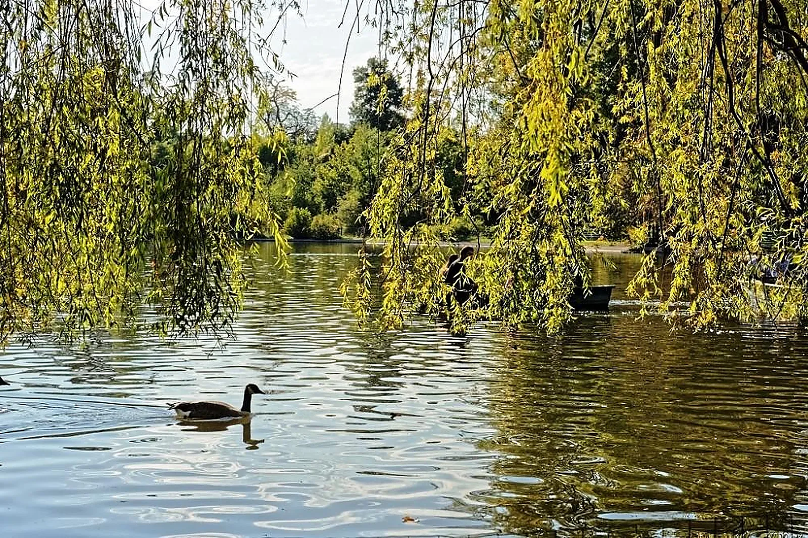 Lieux événementiels, ROSA BONHEUR À L'EST
