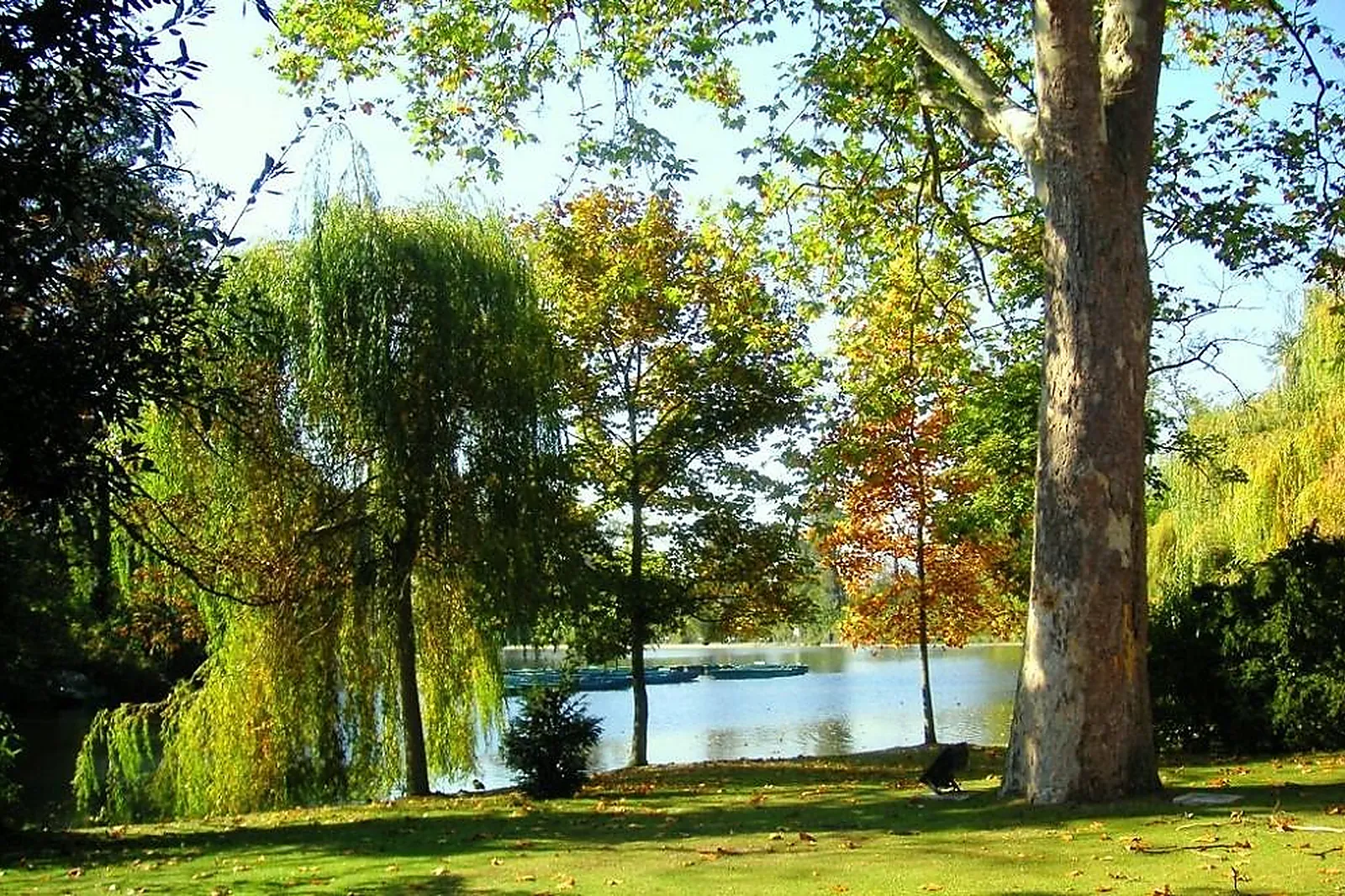 Lieux événementiels, ROSA BONHEUR À L'EST