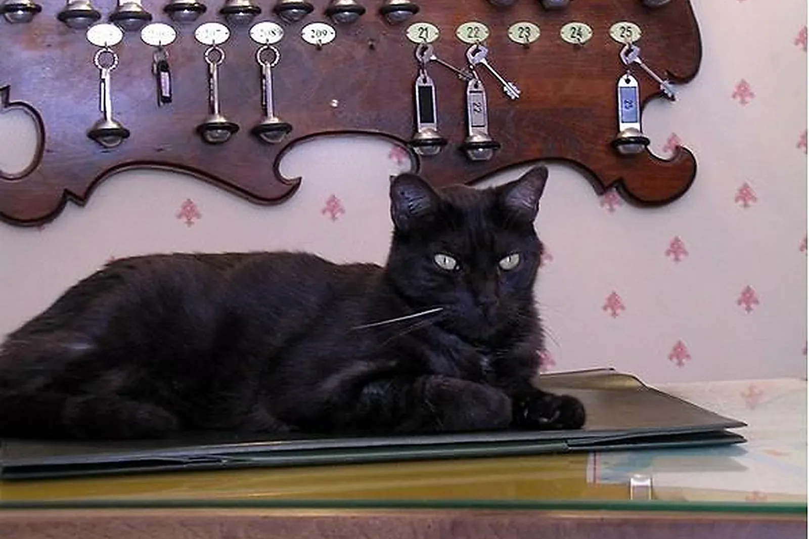 Lieux événementiels, SPHINX-HÔTEL