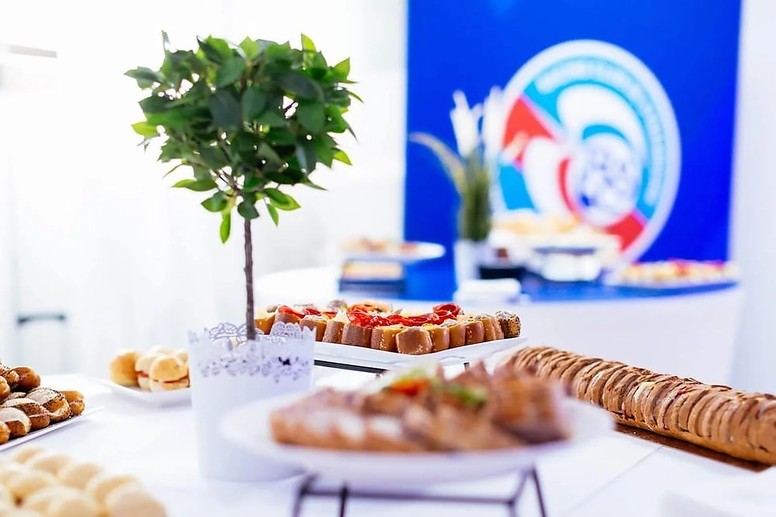 Lieux événementiels, STADE DE LA MEINAU