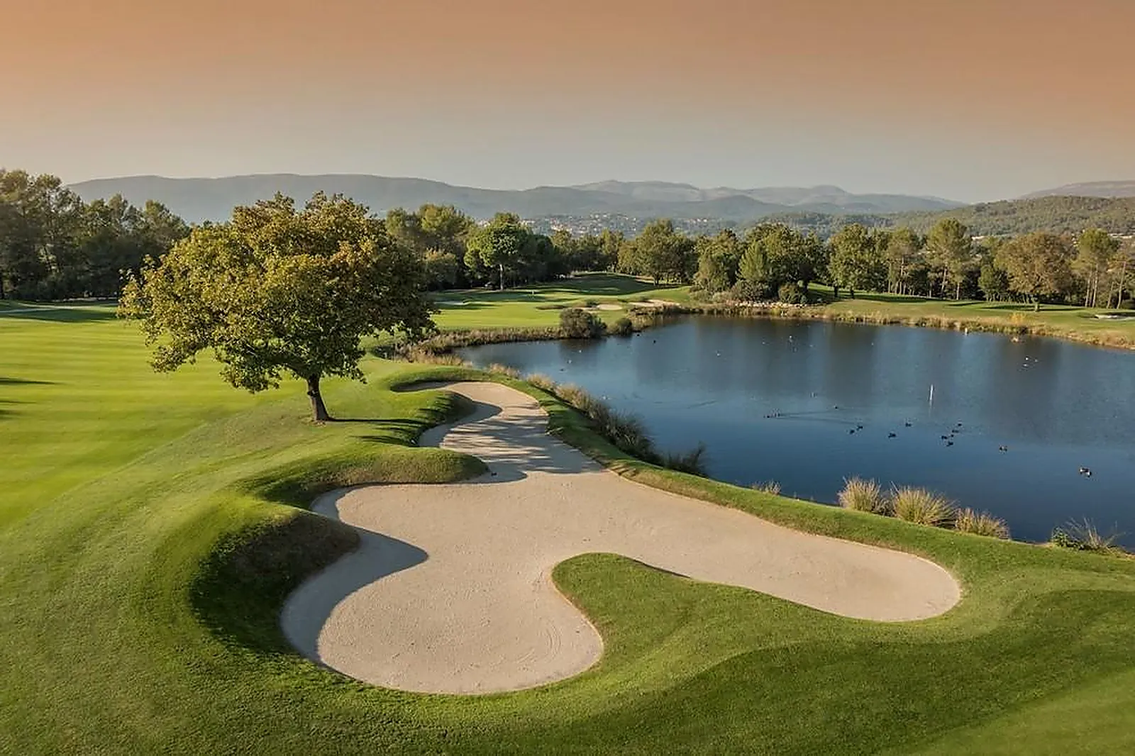 Lieux événementiels, TERRE BLANCHE HOTEL SPA GOLF RESORT
