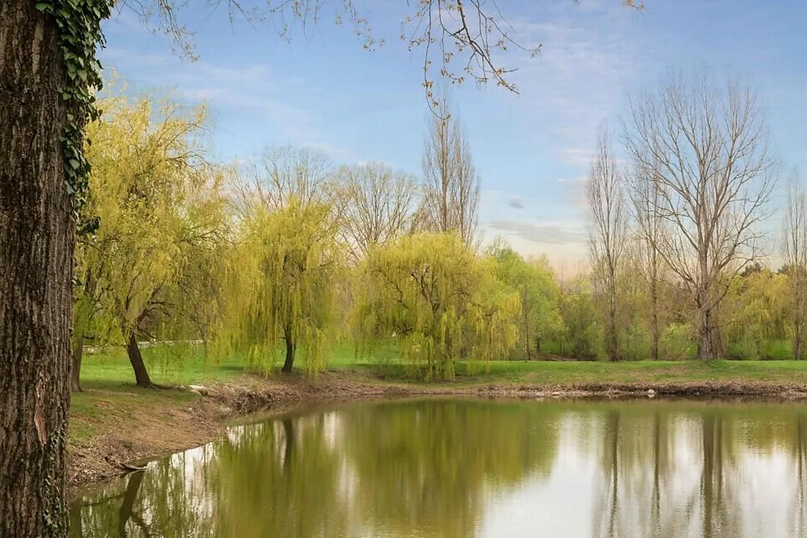 Lieux événementiels, THE ORIGINALS BOUTIQUE ACTUEL HÔTEL SAINT-ETIENNE AÉROPORT