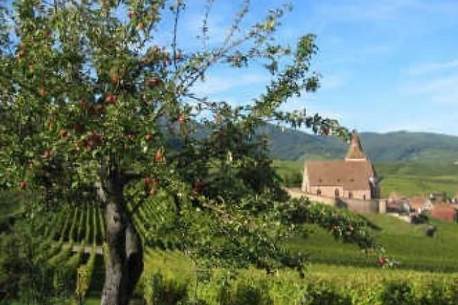Lieux événementiels, THÉÂTRE DU VIN