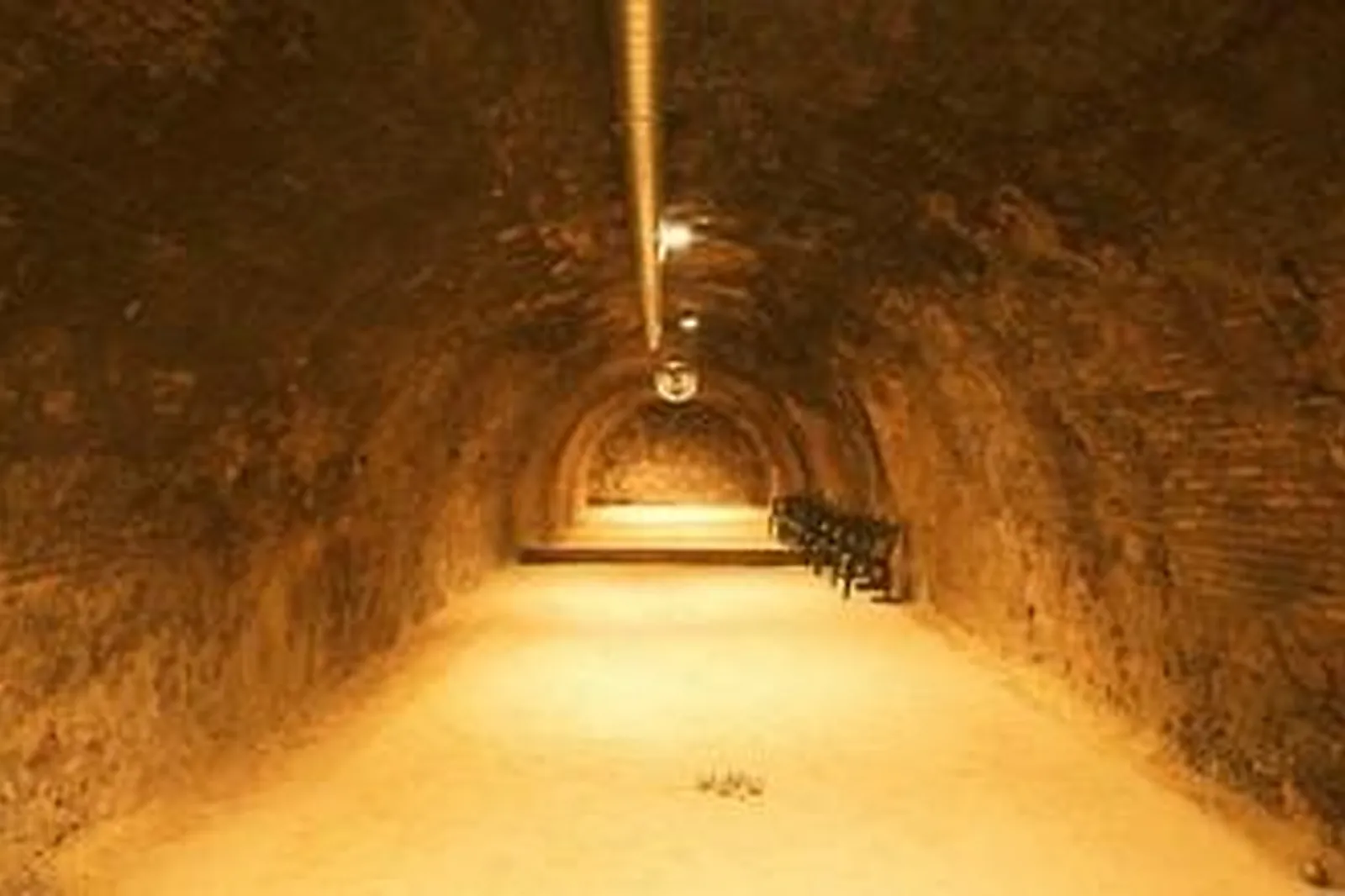 Lieux événementiels, TROLLEY BUS