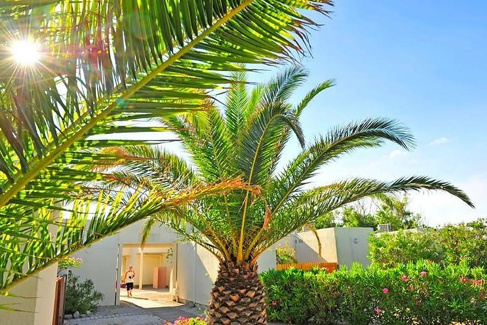 Lieux événementiels, VVF VILLAGES LES PORTES DU ROUSSILLON - LE BARCARÈS