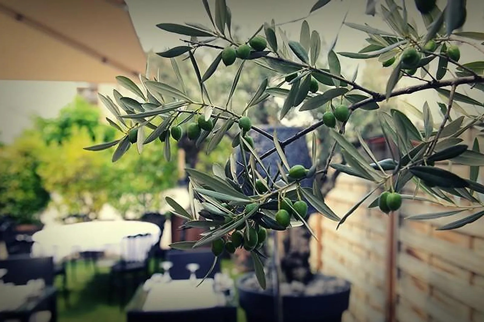 Lieux événementiels, VICTORIA HALL