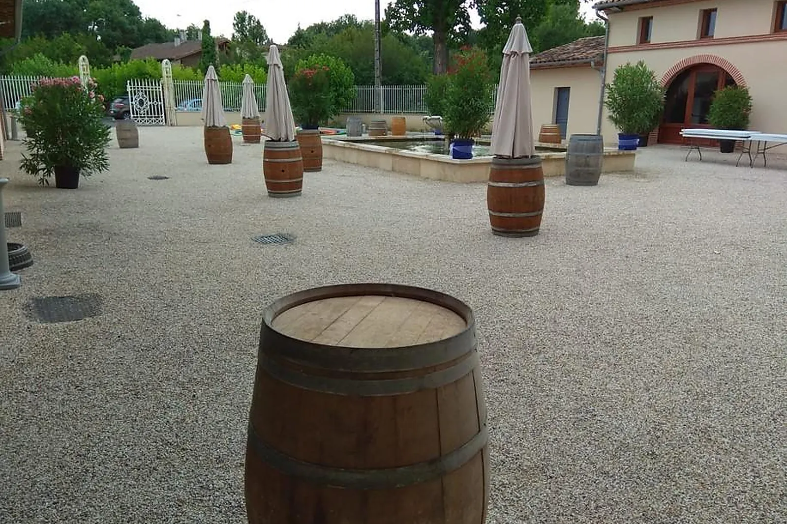 Lieux événementiels, VIGNOBLE CASSIN