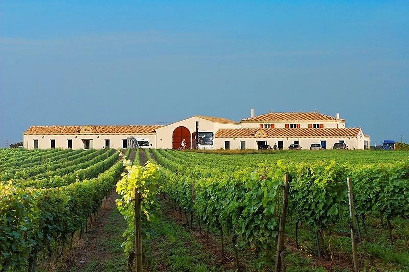 Lieux événementiels, VIGNOBLE MAXIME PINARD