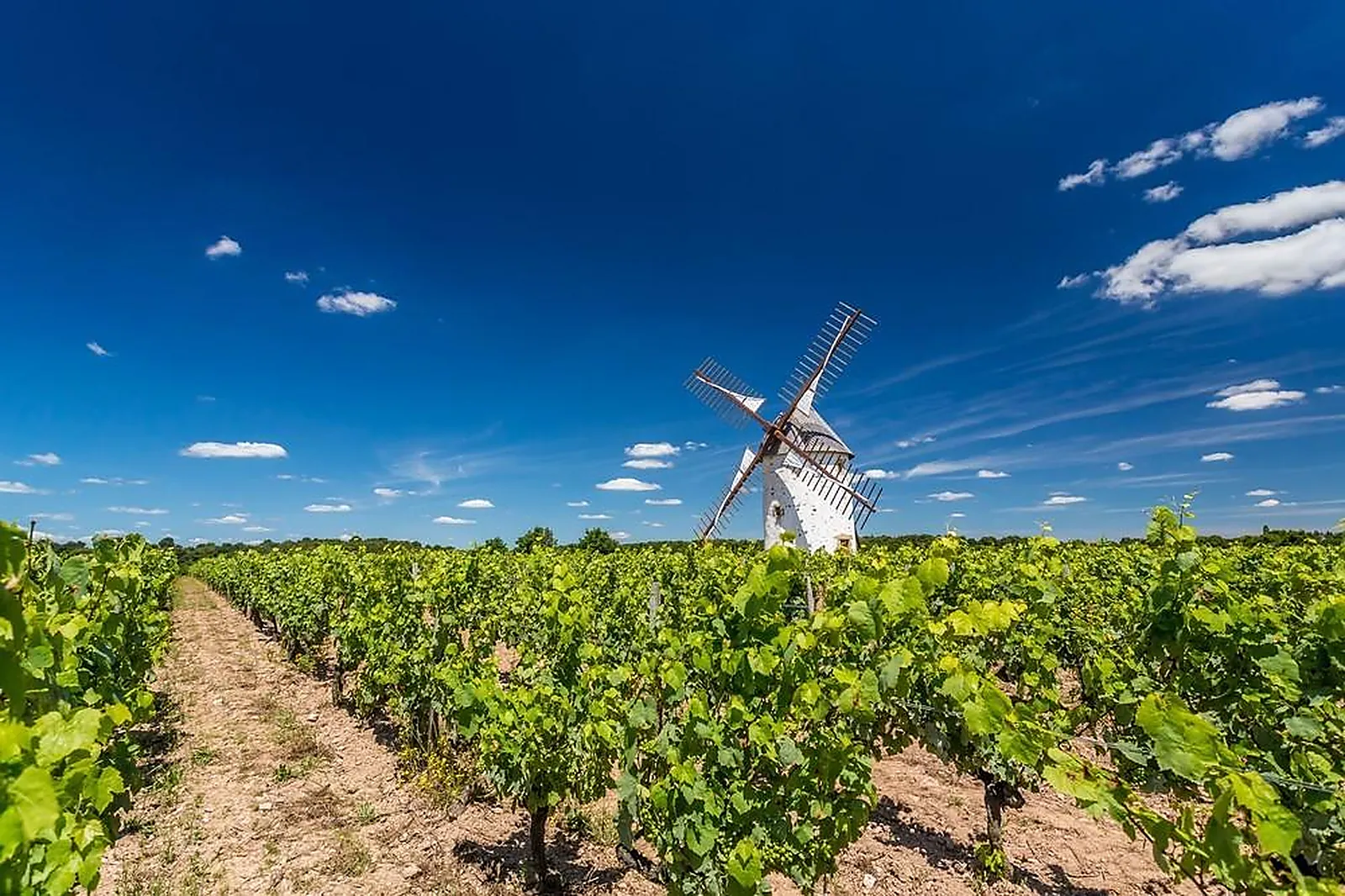 Lieux événementiels, VIGNOBLES MOURAT