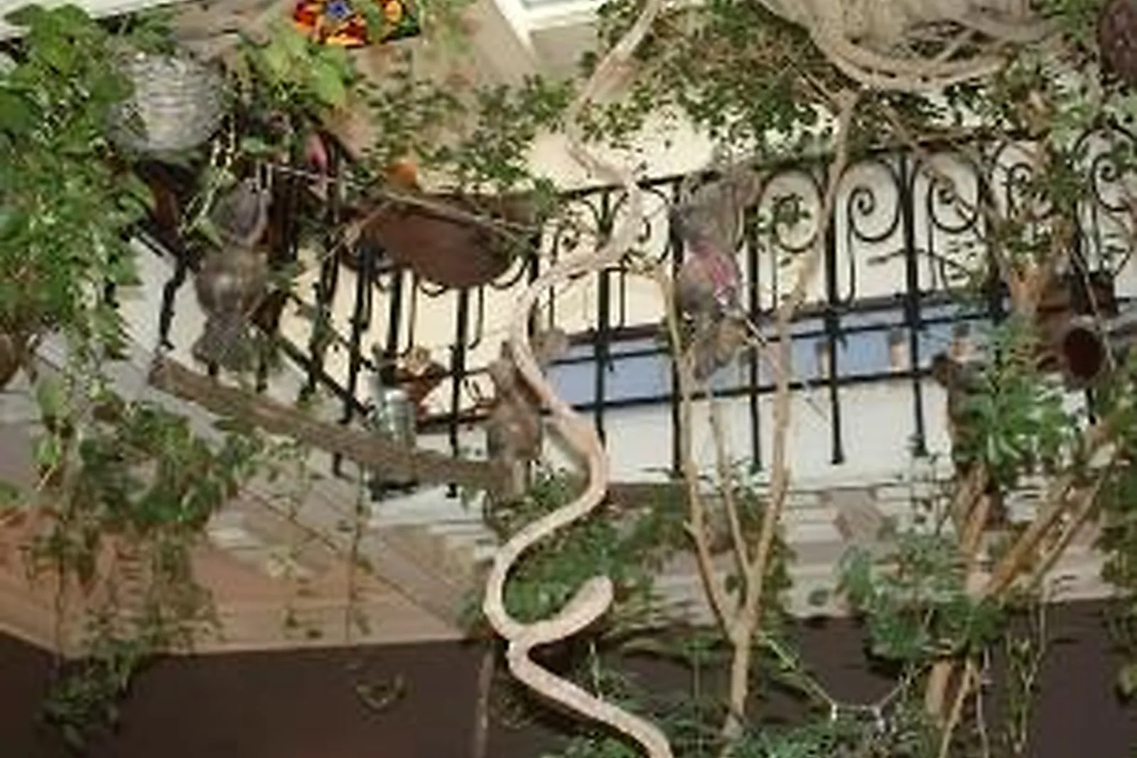 Lieux événementiels, VILLA D'ISLE