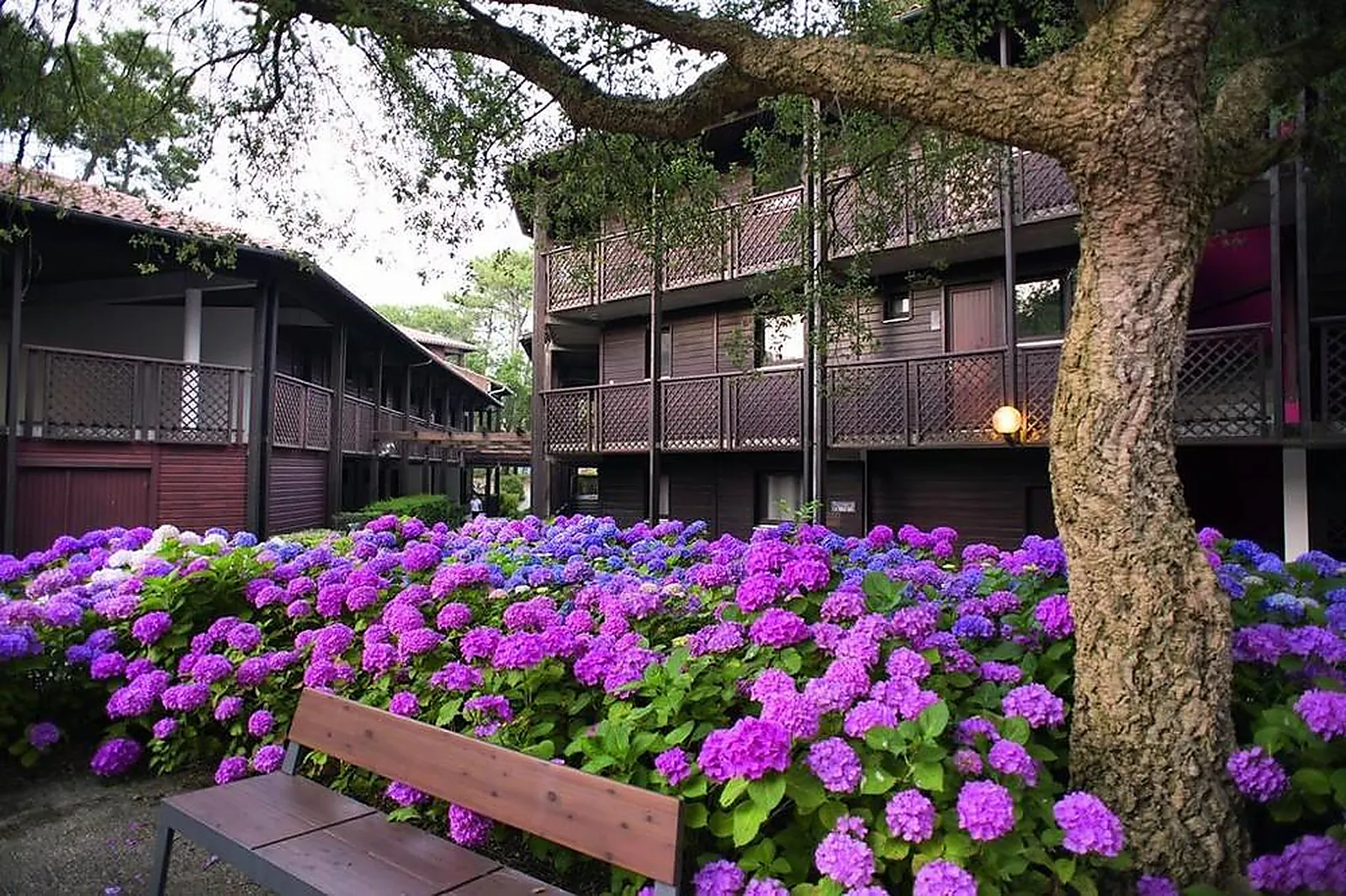 Lieux événementiels, VILLAGES CLUBS DU SOLEIL - SOUSTONS PLAGE