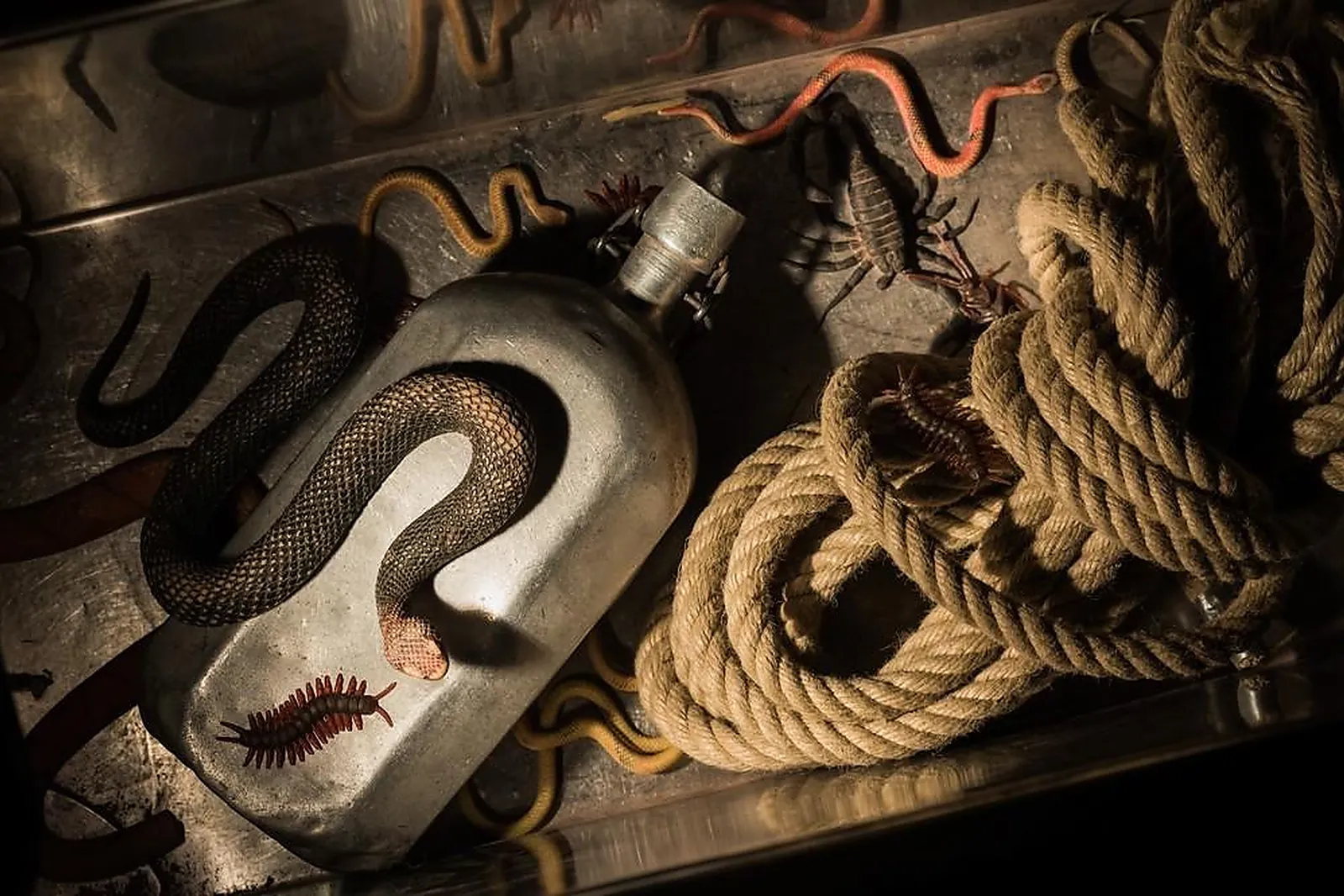 Lieux événementiels, WAKE UP LYON LIVE ESCAPE GAME