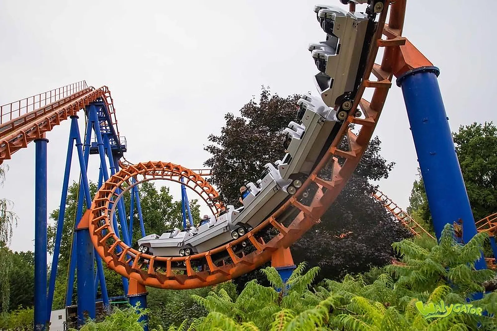 Lieux événementiels, WALYGATOR PARC