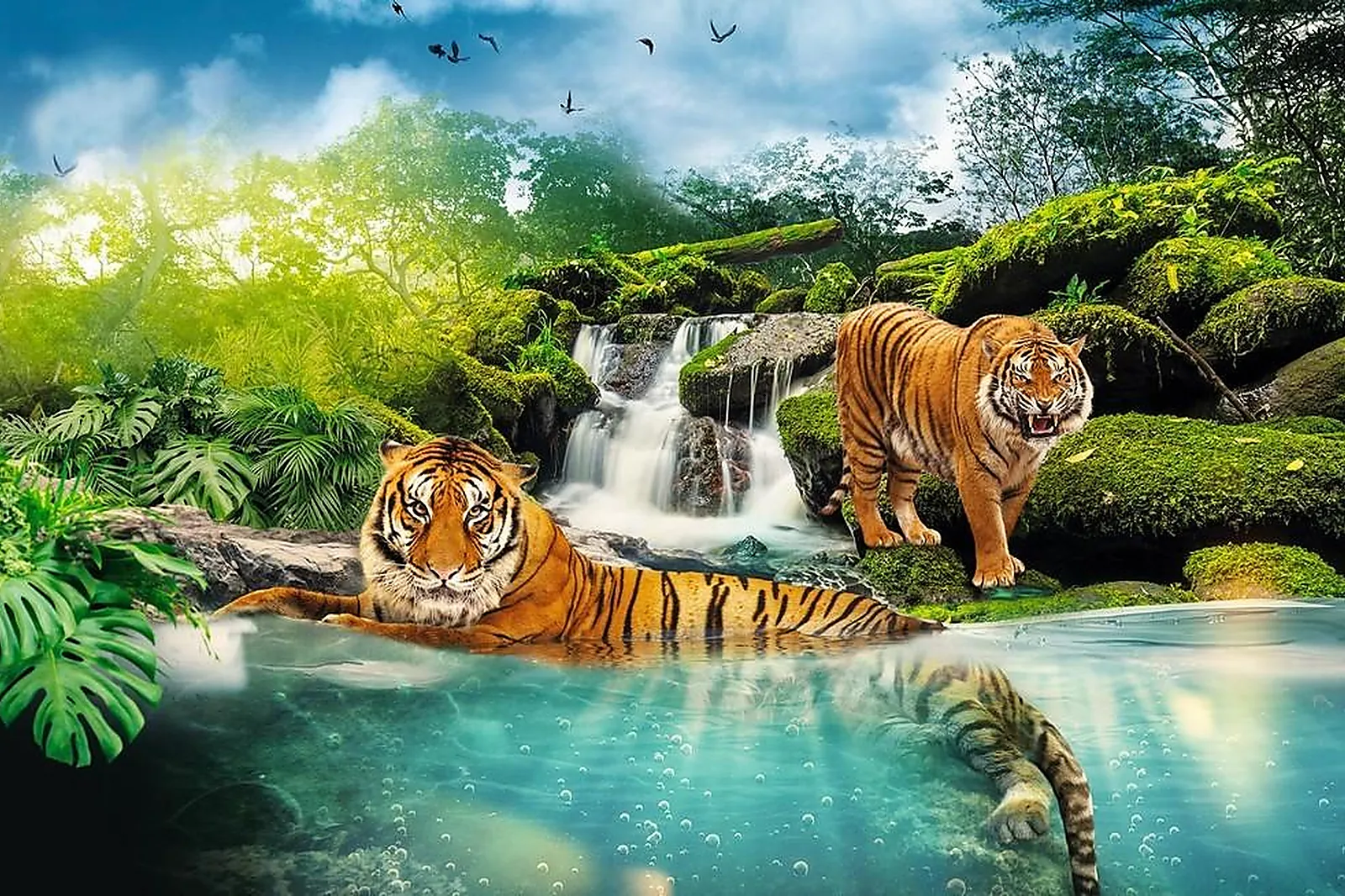 Lieux événementiels, ZOO DE LA FLÈCHE