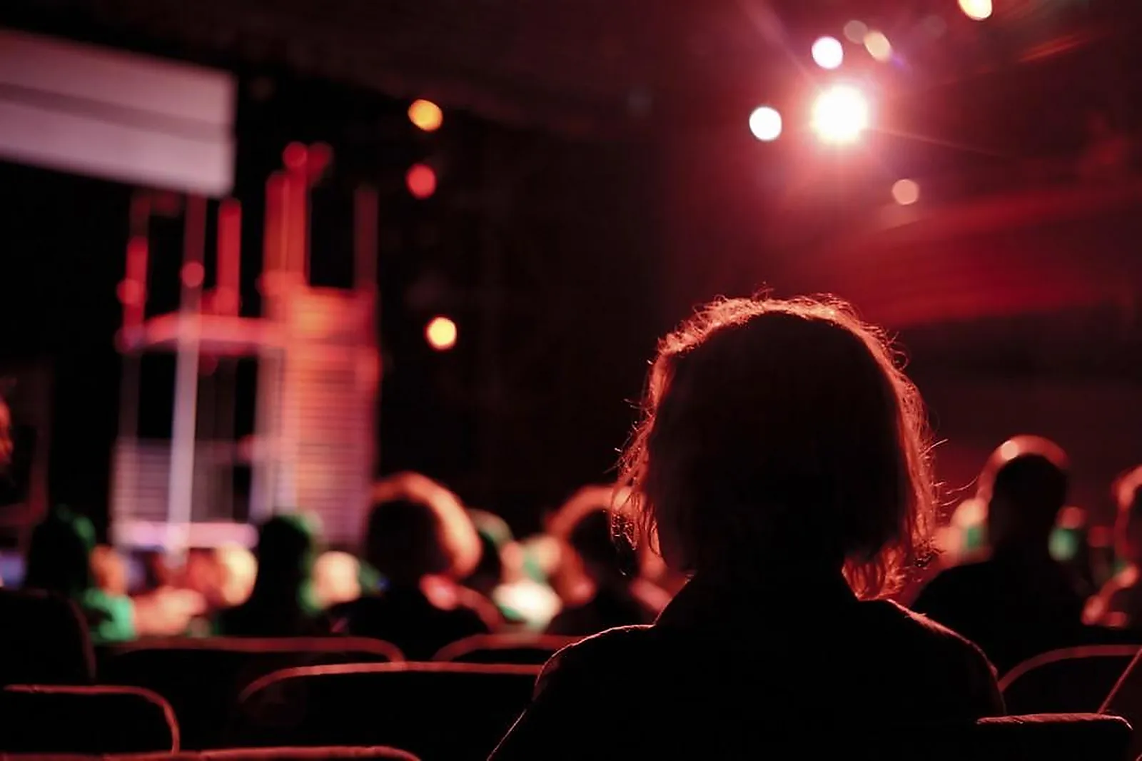 Hôtes et hôtesses d'accueil, HOTESECURITÉ