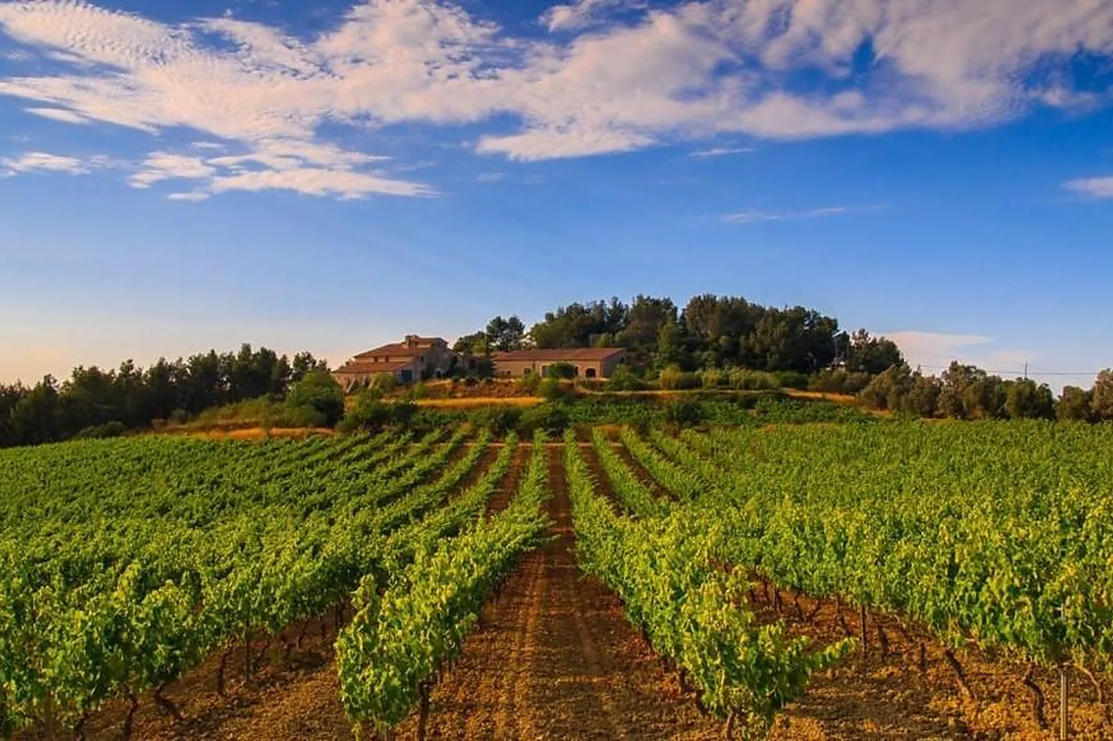 Animations événementielles, ŒNODYSSÉE