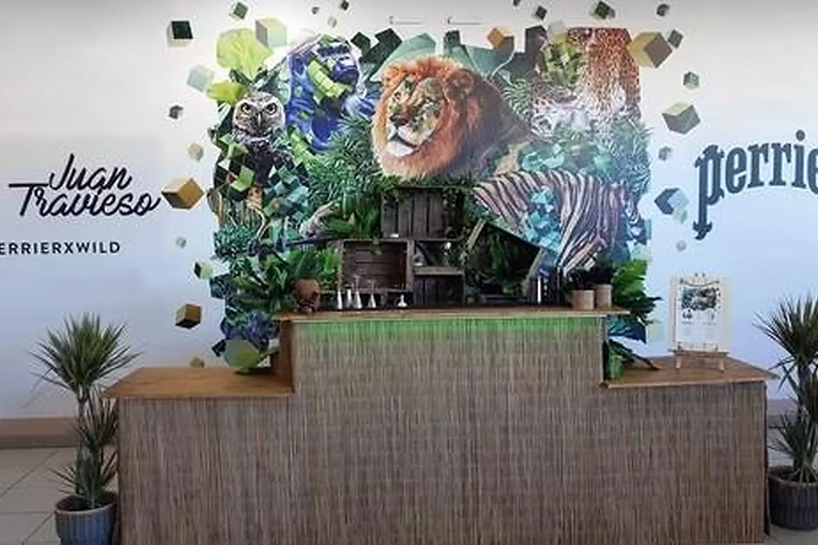 Animations événementielles, SHAKE IT BARTENDING