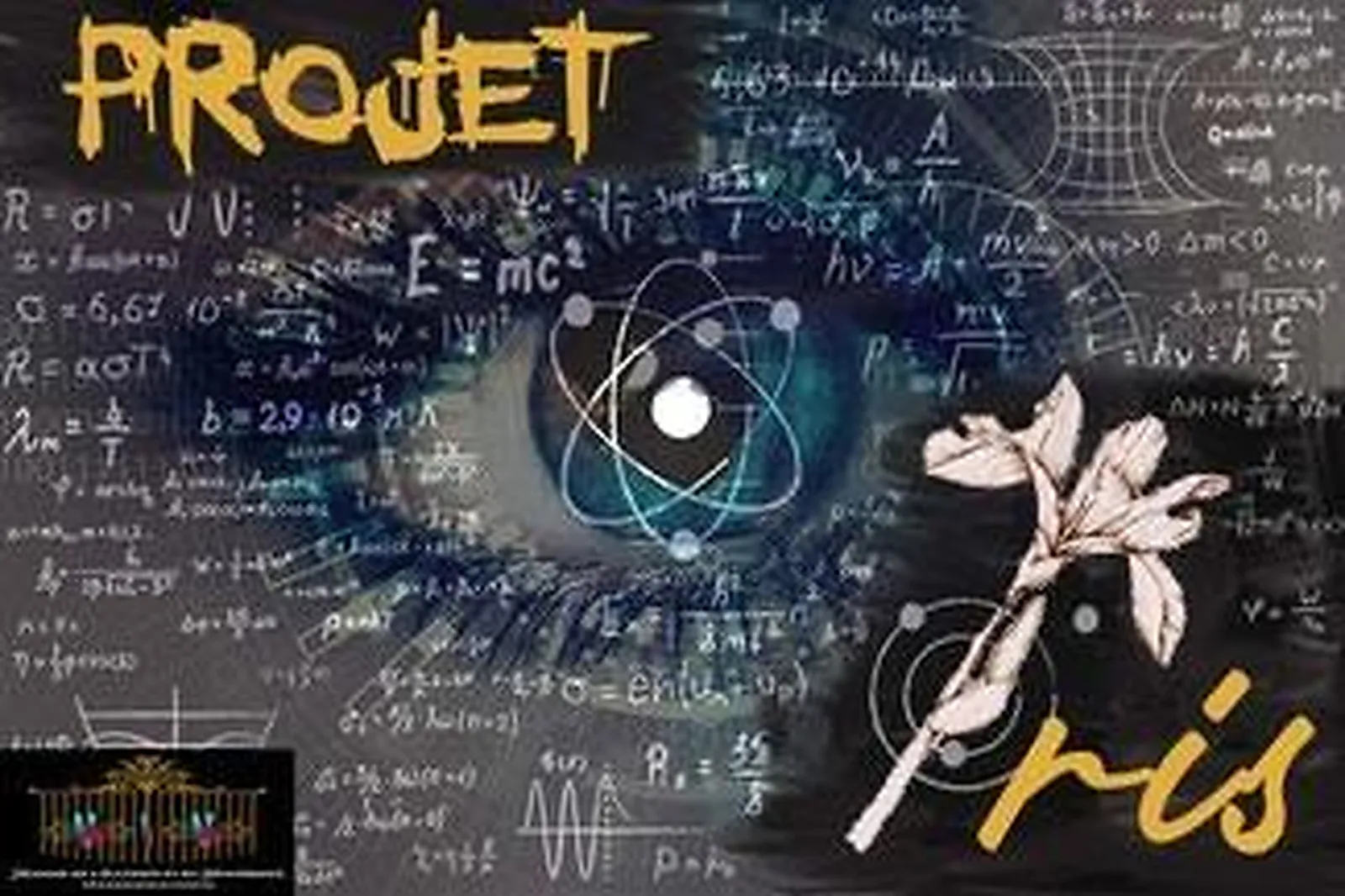 Animations événementielles, MANOIR DE L'ILLUSION