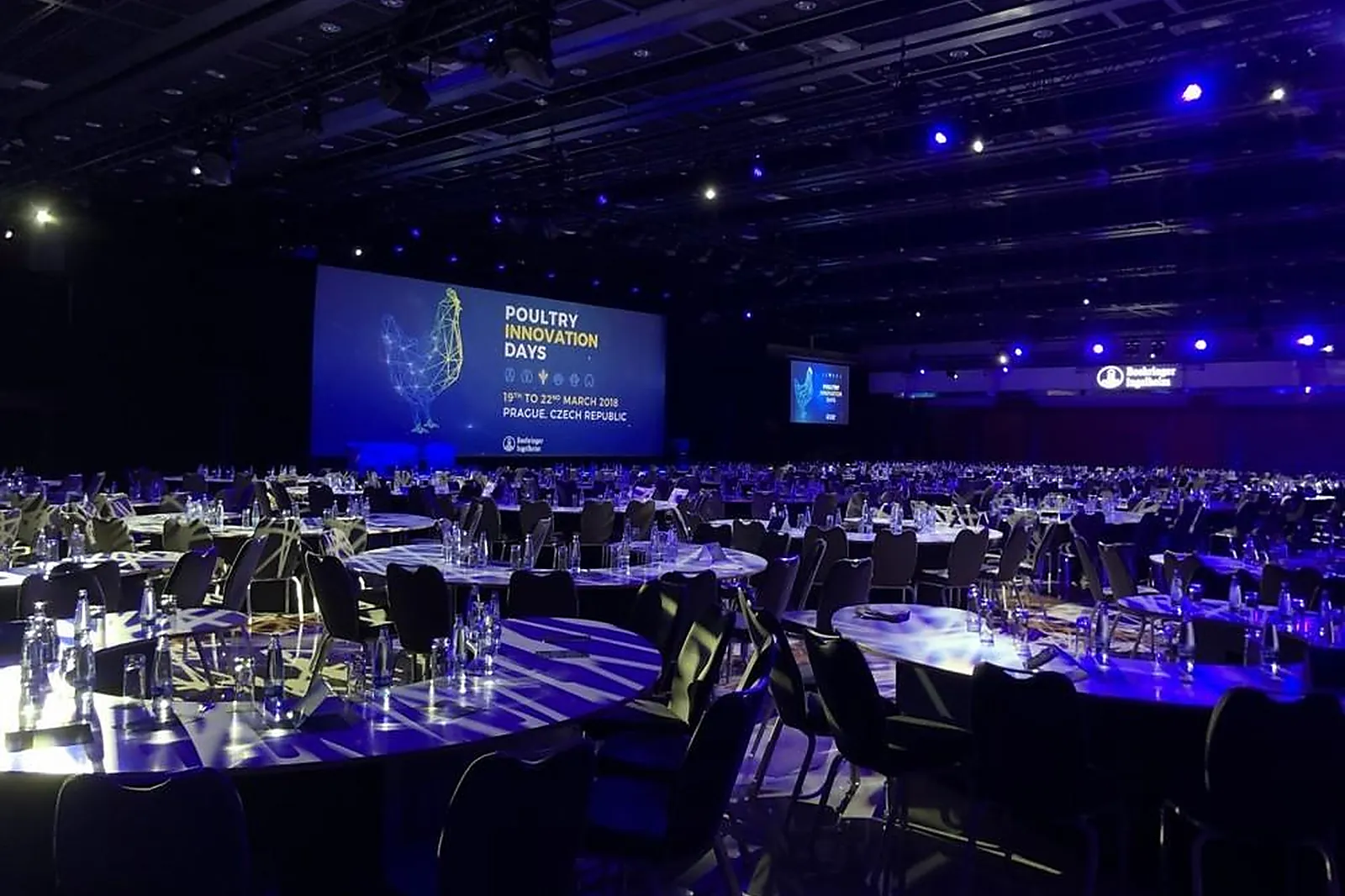 Animations événementielles, OPEN ZONE