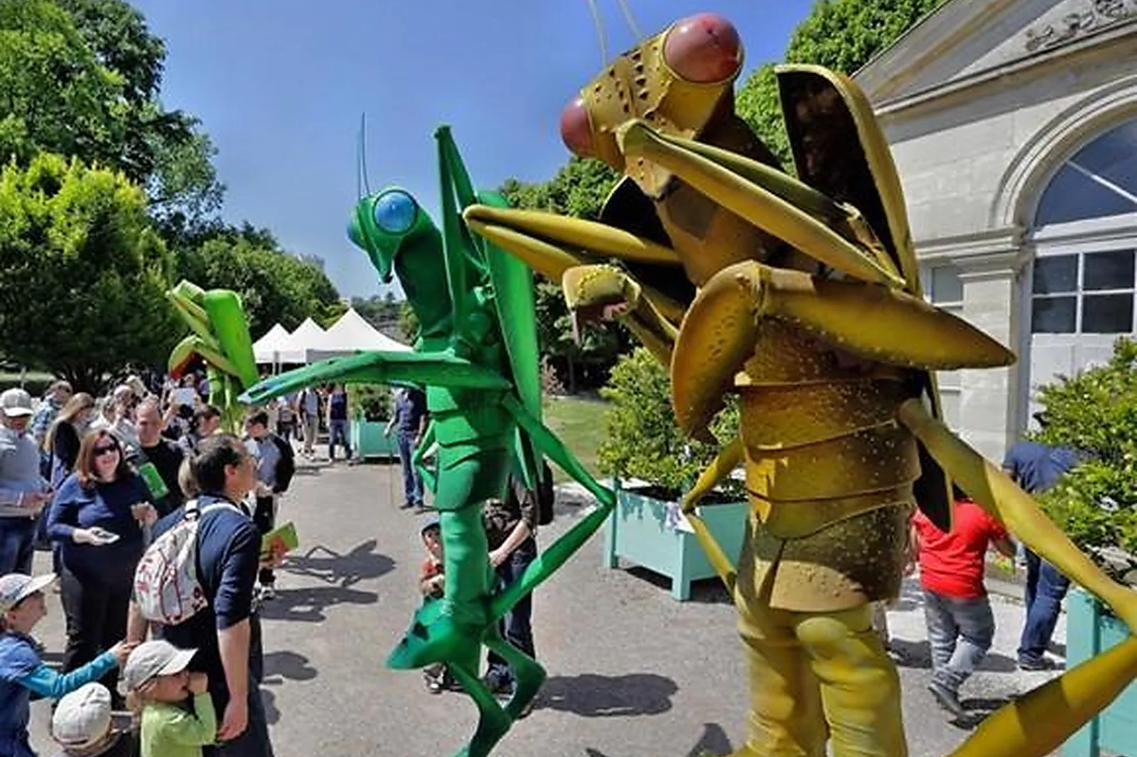 Animations événementielles, ZIZANIE