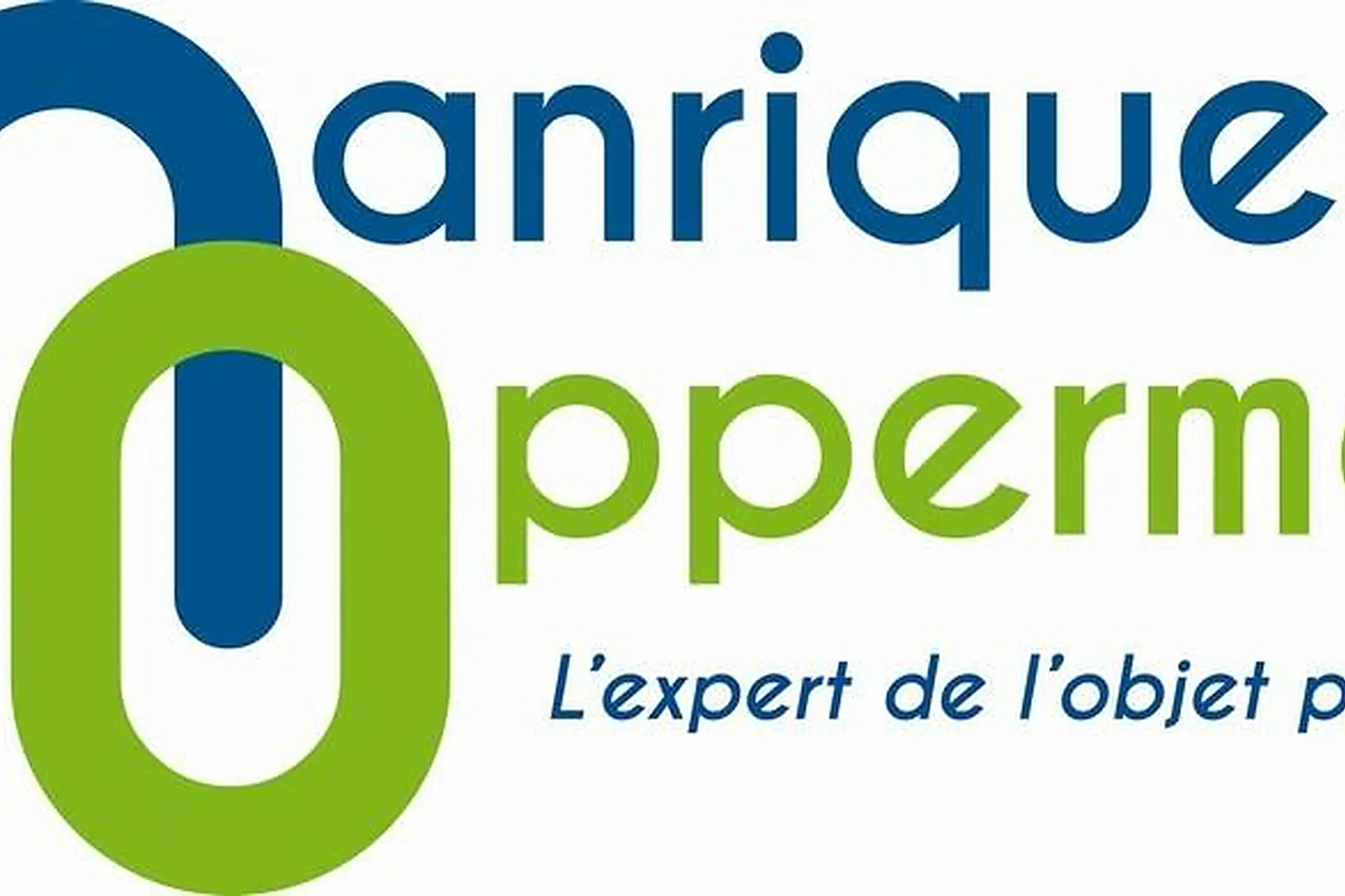 Prestataire Technique Audiovisuel, MANRIQUE OPPERMANN