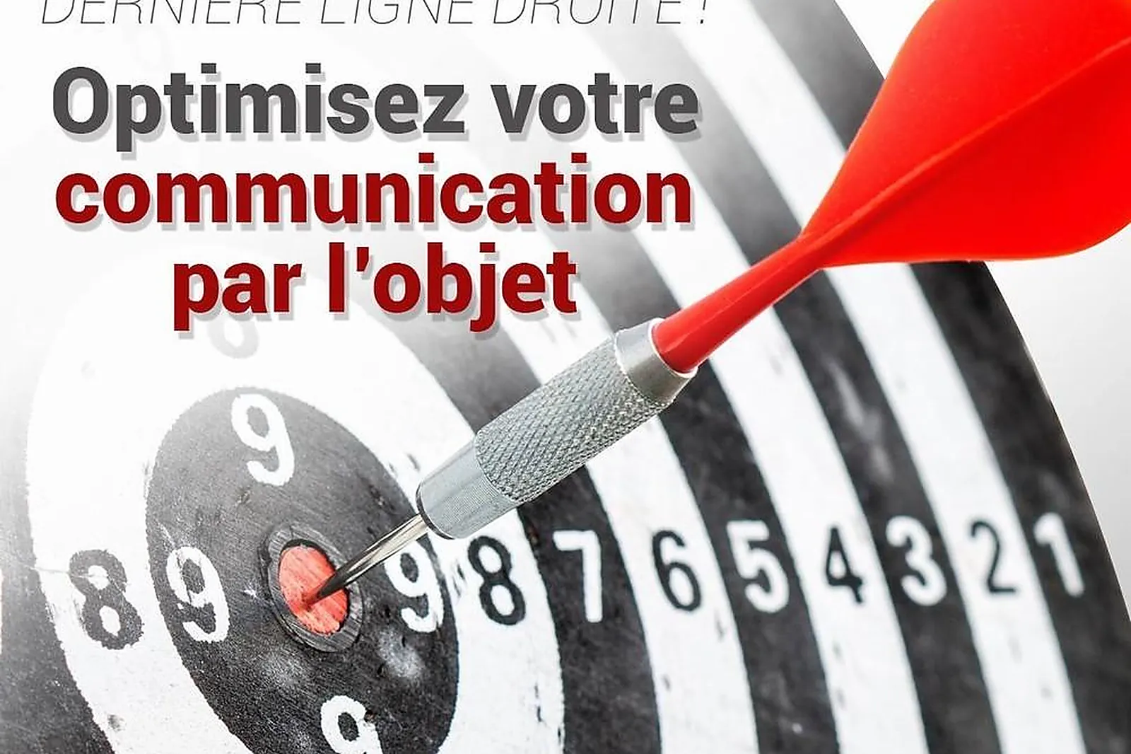 Prestataire Technique Audiovisuel, MANRIQUE OPPERMANN