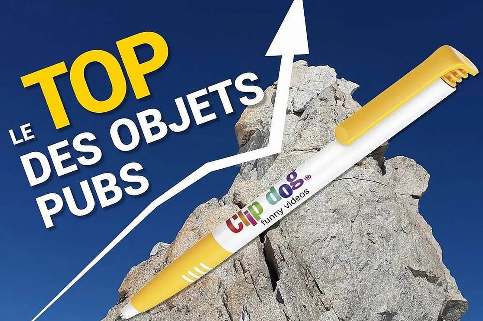 Prestataire Technique Audiovisuel, MANRIQUE OPPERMANN