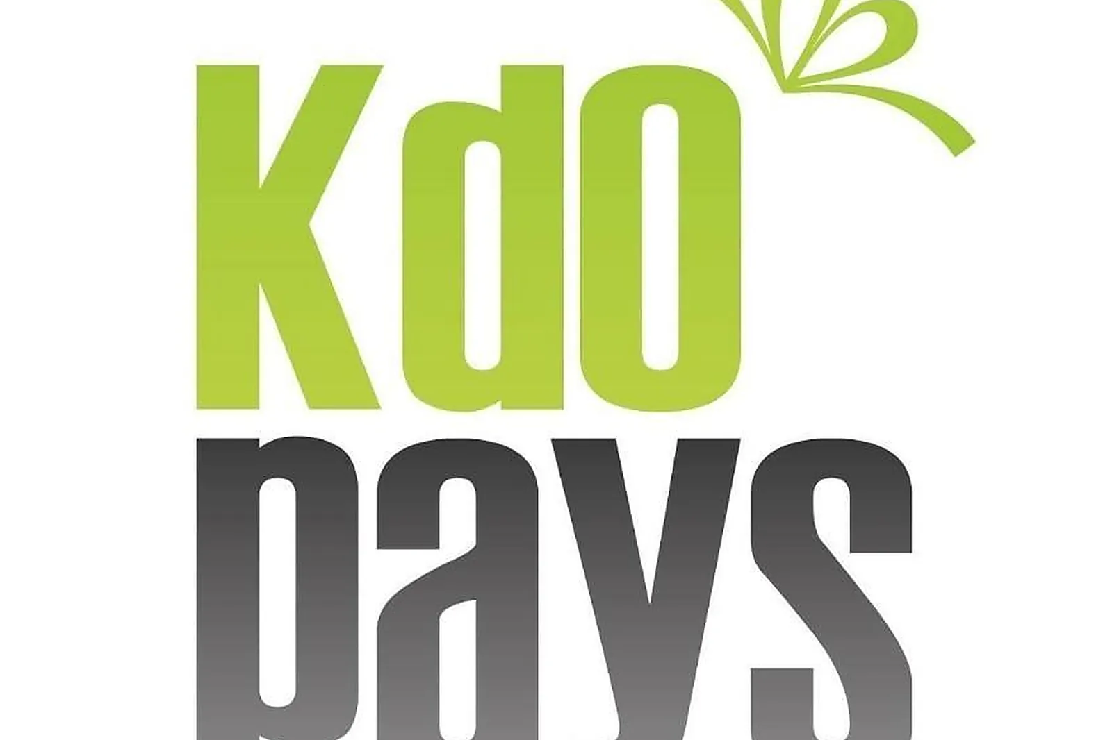 Prestataire Technique Audiovisuel, KDOPAYS