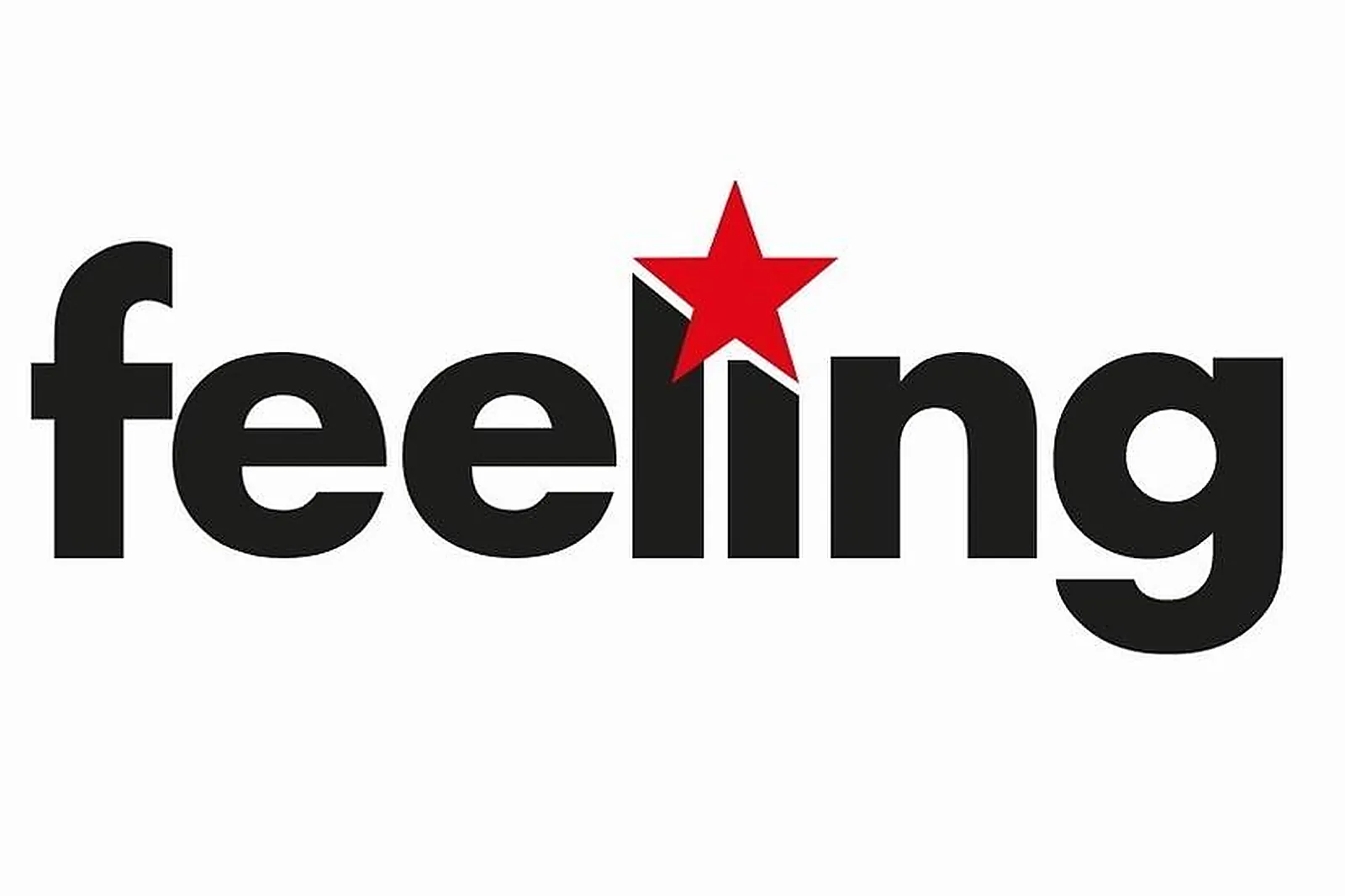 Prestataire Technique Audiovisuel, FEELING