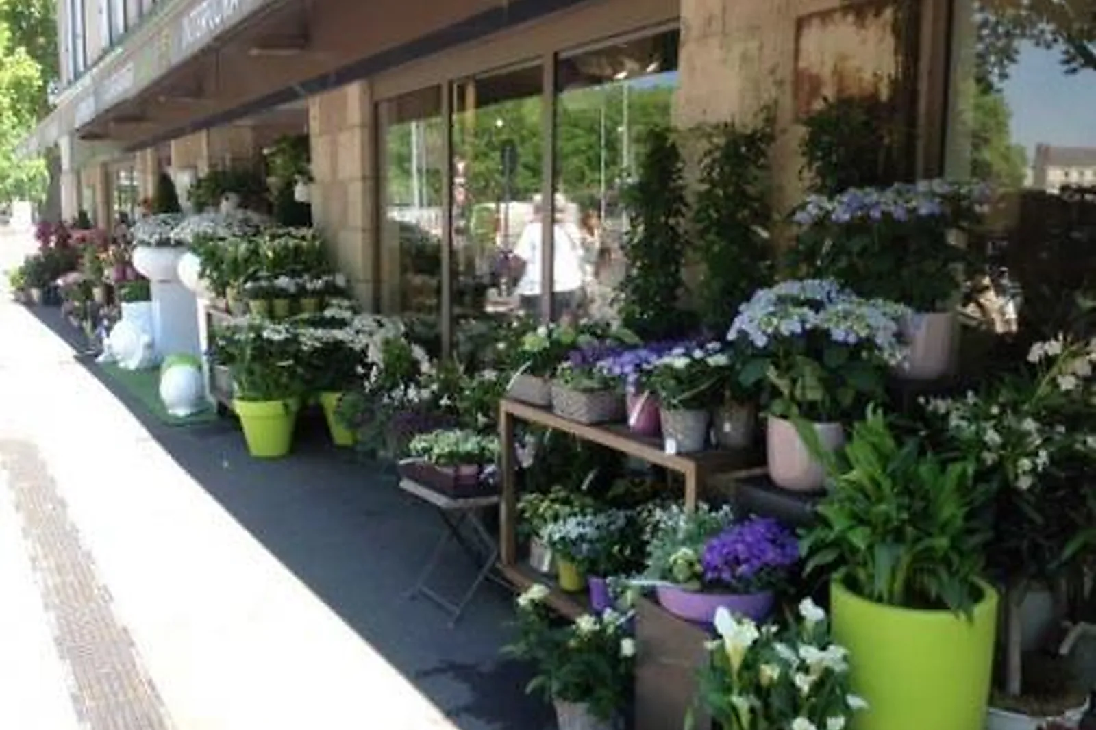 Prestataire Technique Audiovisuel, CHATAIGNIER FLEURS