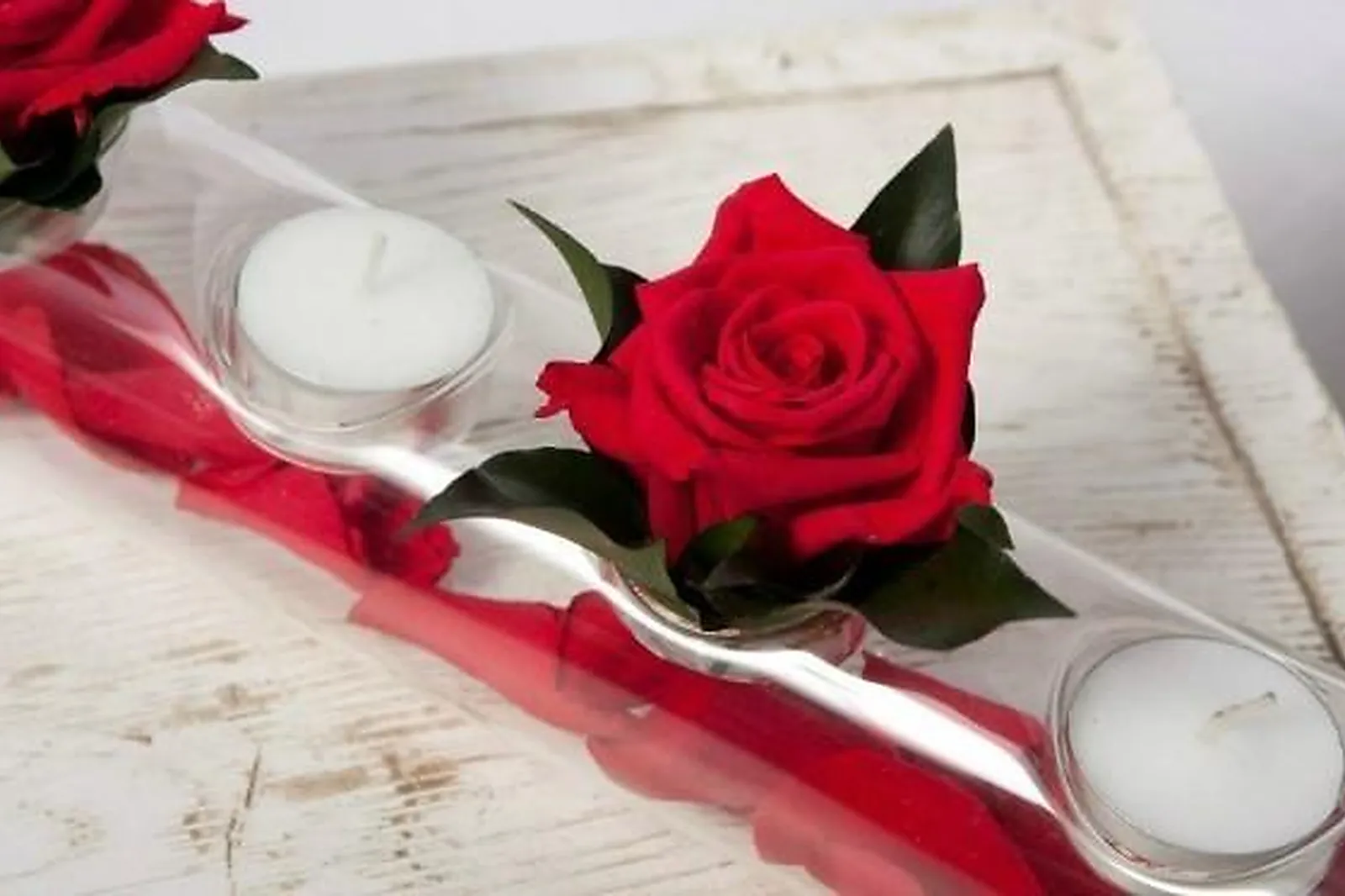 Prestataire Technique Audiovisuel, CHATAIGNIER FLEURS