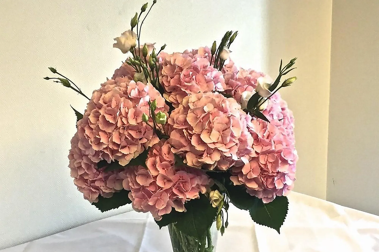 Prestataire Technique Audiovisuel, FLEURS D'UN JOUR