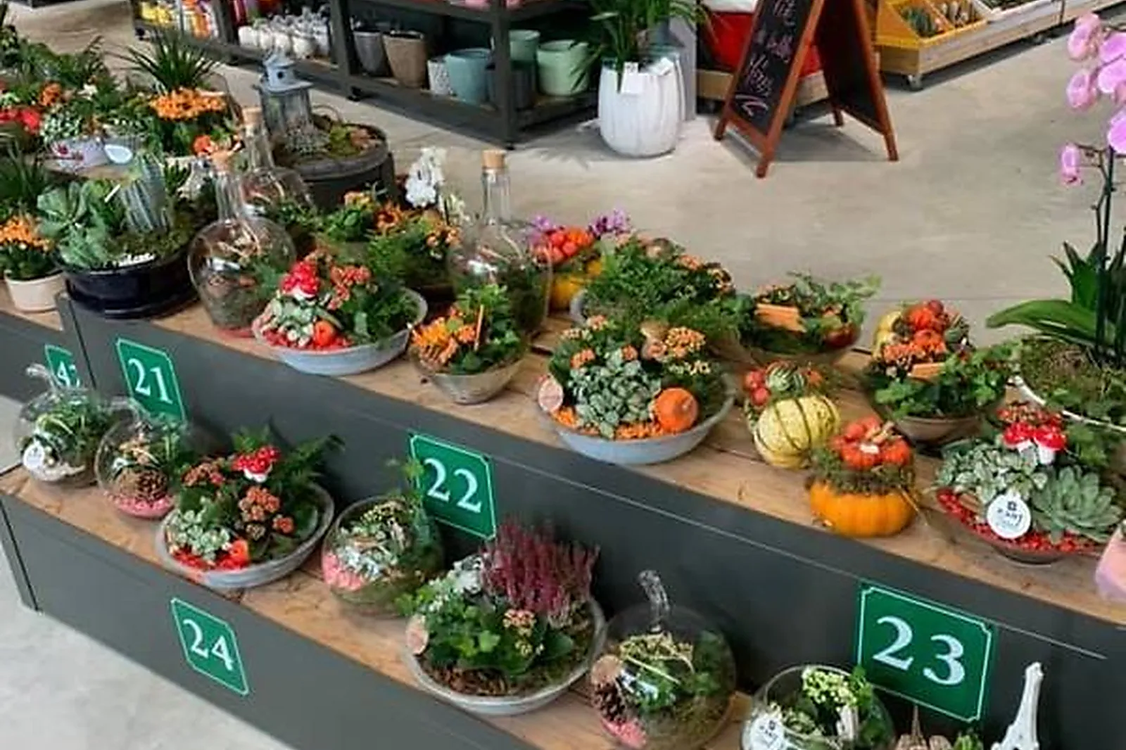 Prestataire Technique Audiovisuel, FLOORE