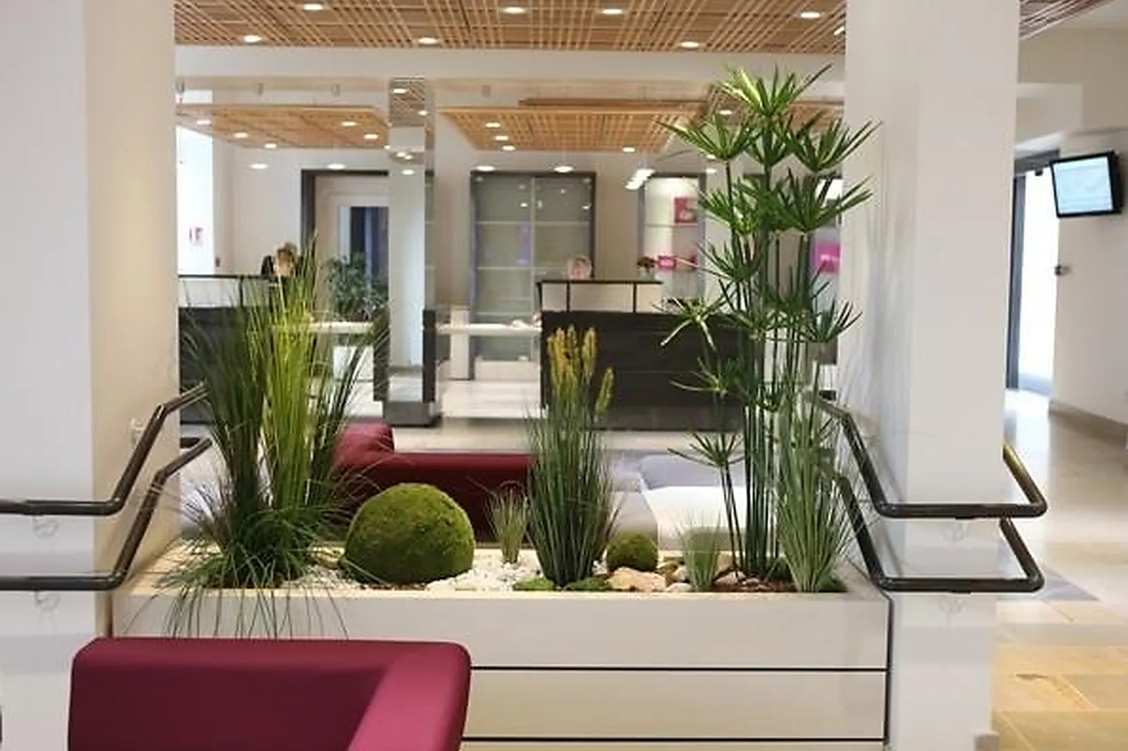 Prestataire Technique Audiovisuel, HOME VÉGÉTAL