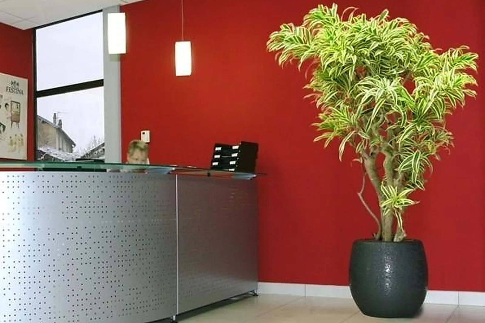 Prestataire Technique Audiovisuel, HOME VÉGÉTAL