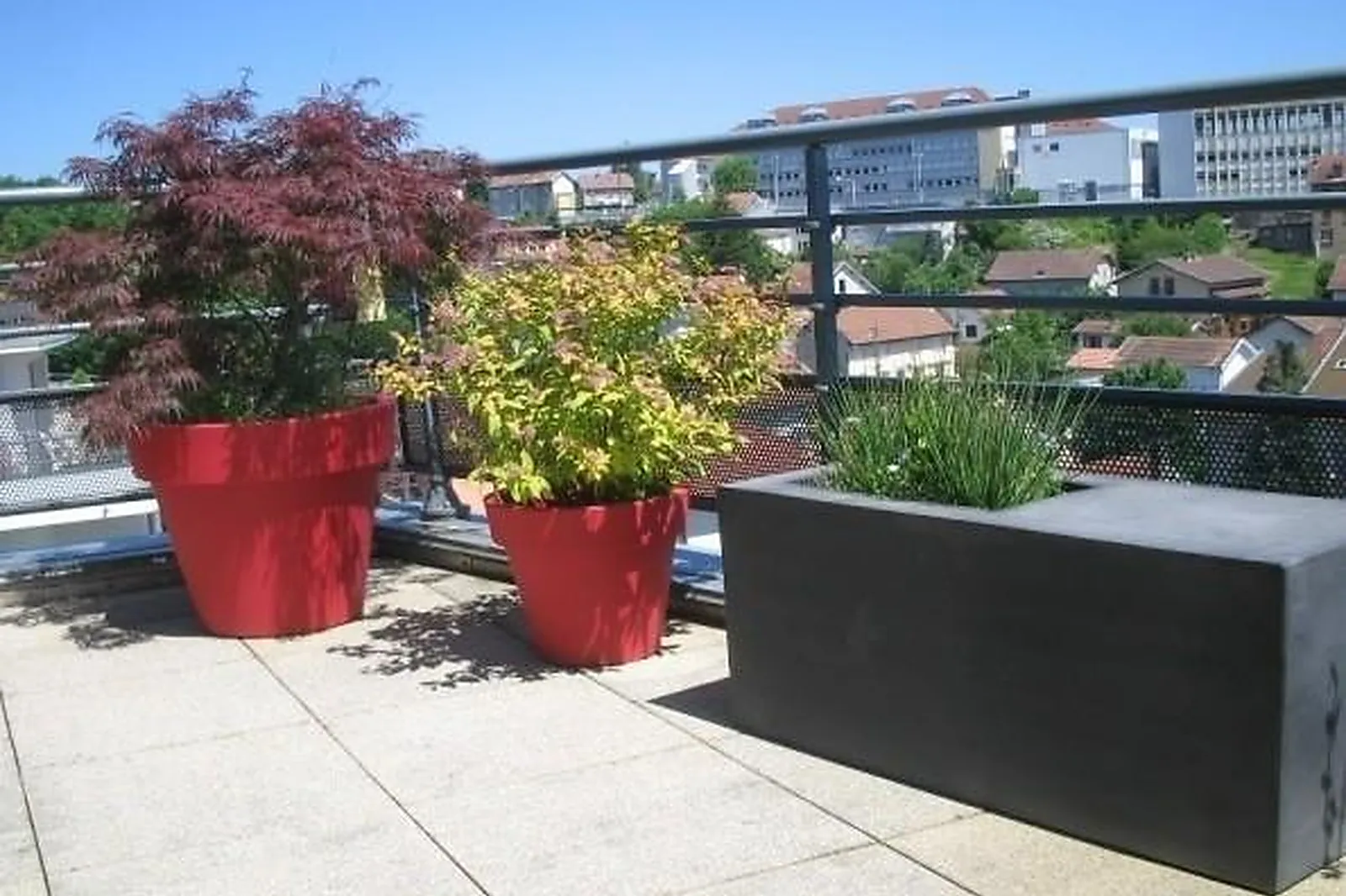 Prestataire Technique Audiovisuel, HOME VÉGÉTAL