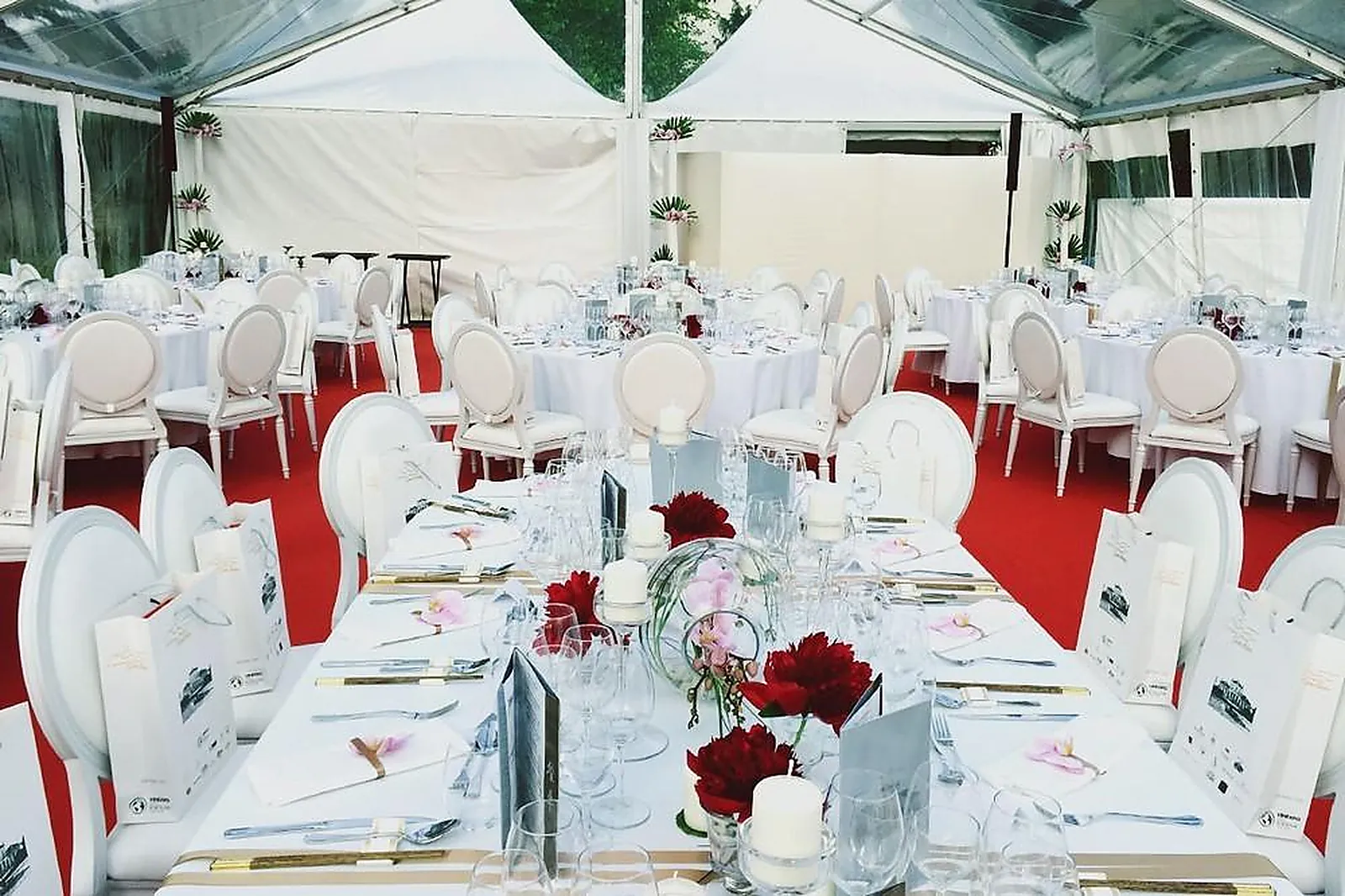 Prestataire Technique Audiovisuel, ELISABETH DELSOL