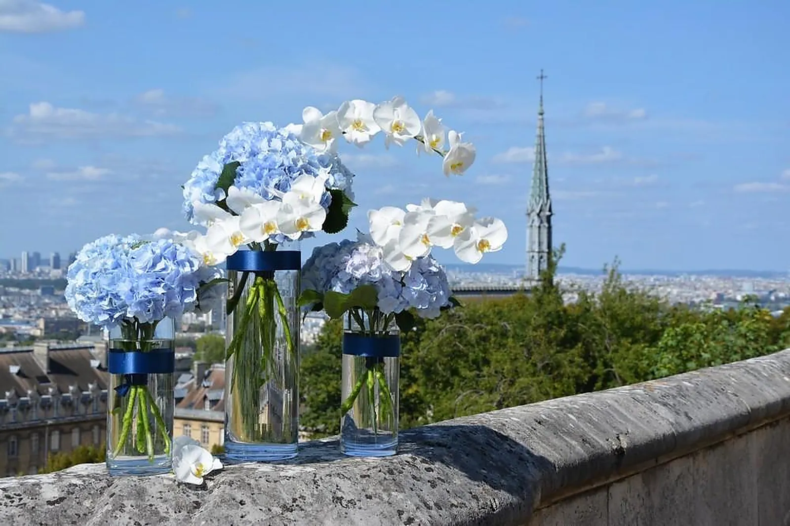 Prestataire Technique Audiovisuel, MARIE PAOLINI